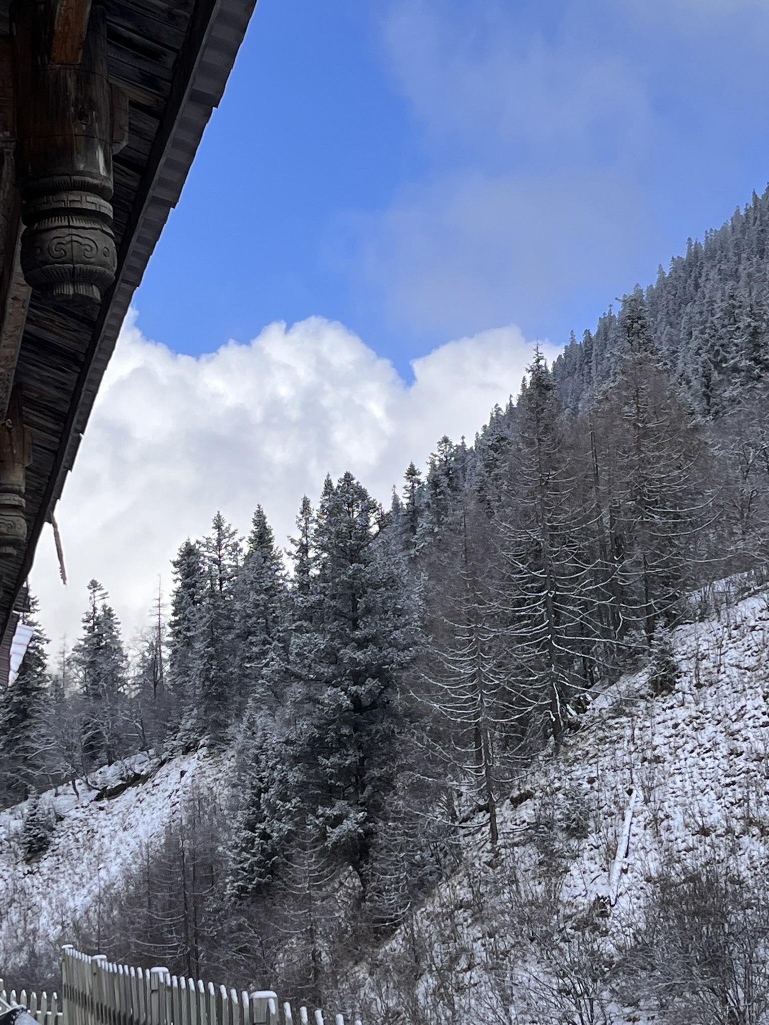 达古冰川风景名胜区旅行图片
