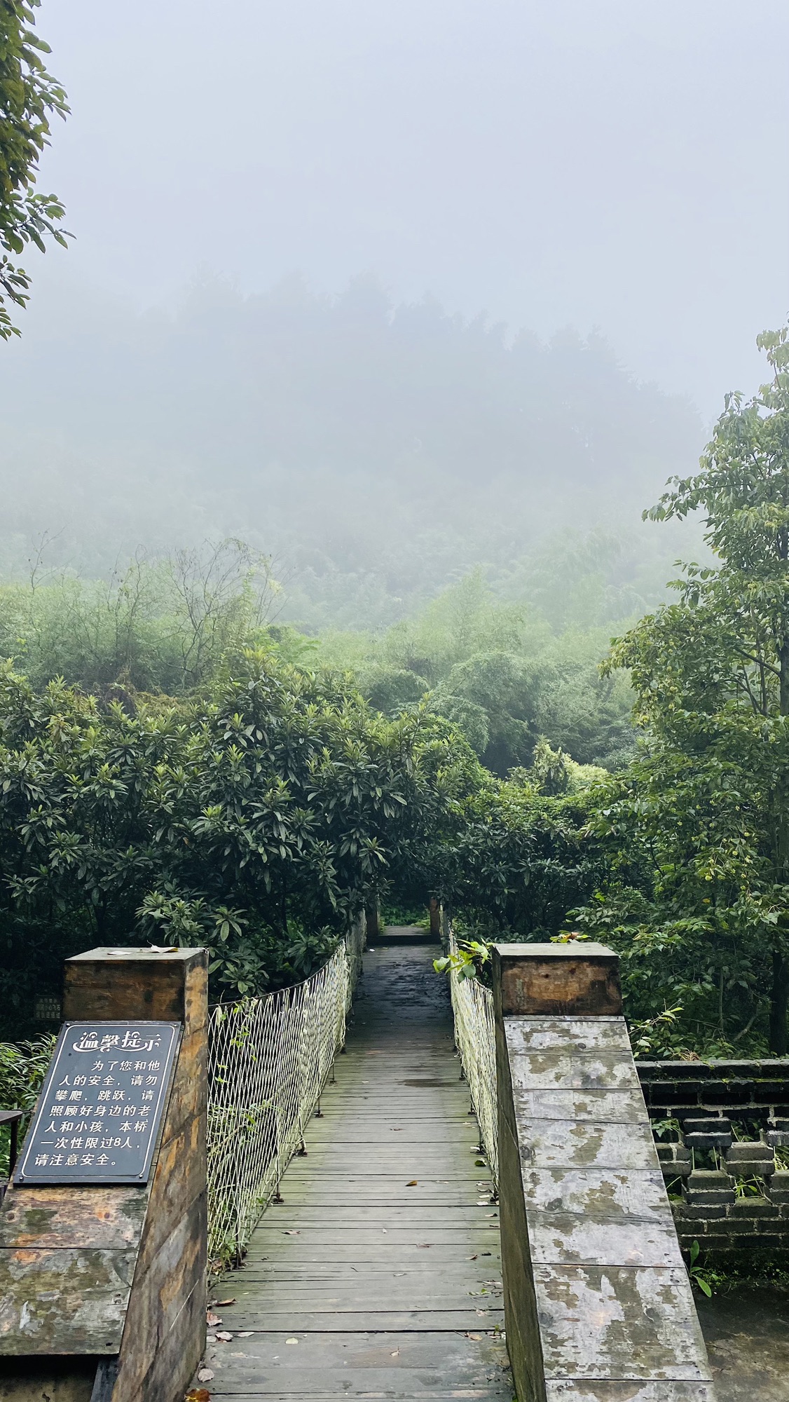 九龙山乡村旅游景区旅行图片