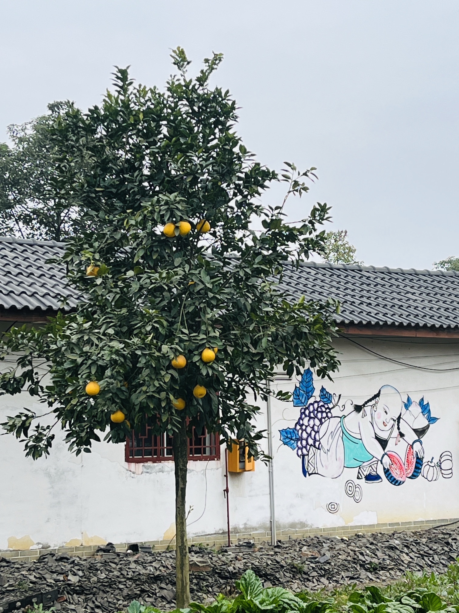 中国绵竹年画村旅行图片