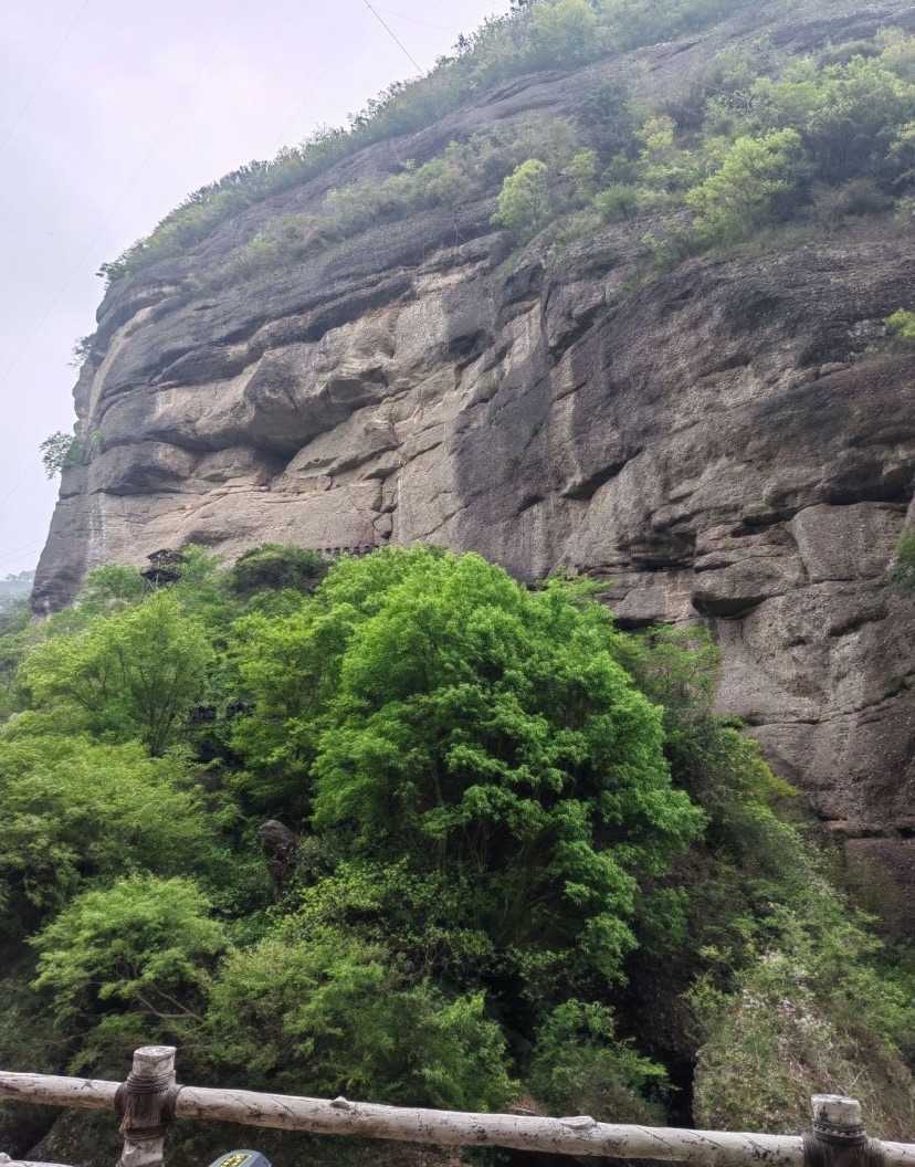 剑门关国家森林公园