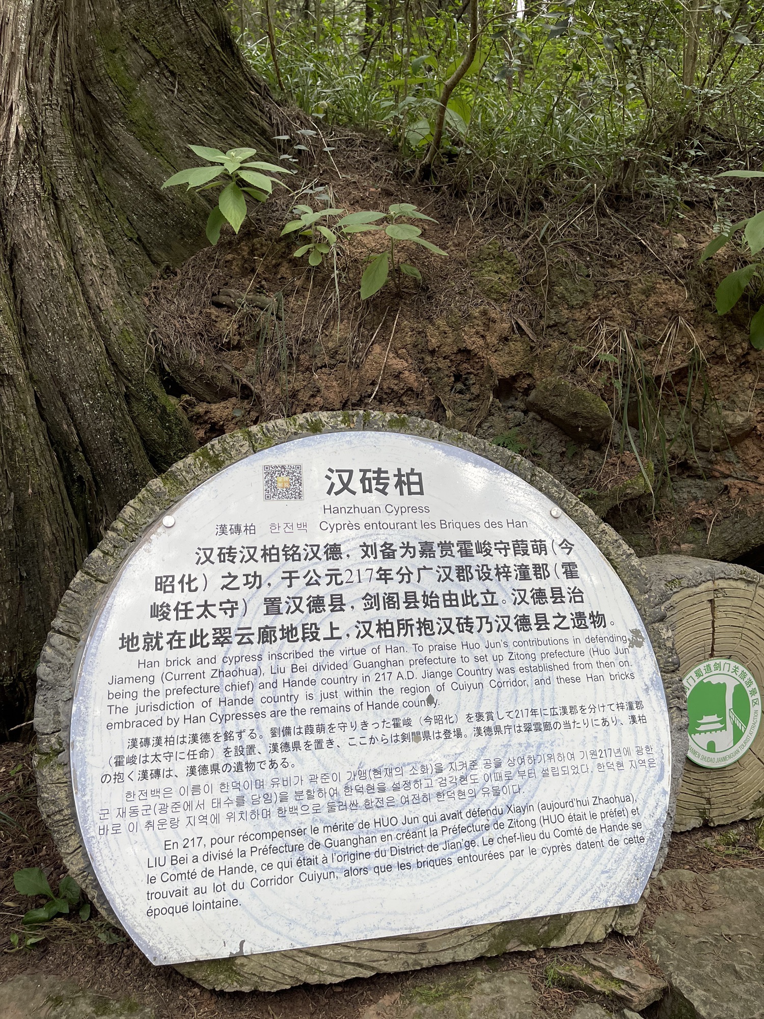 翠云廊