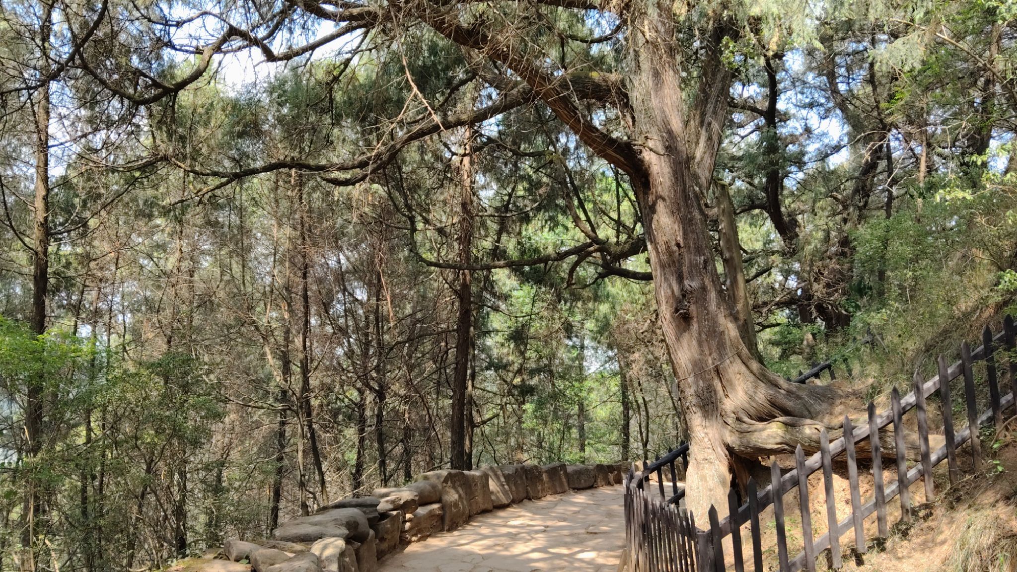 先秦古蜀道旅行图片