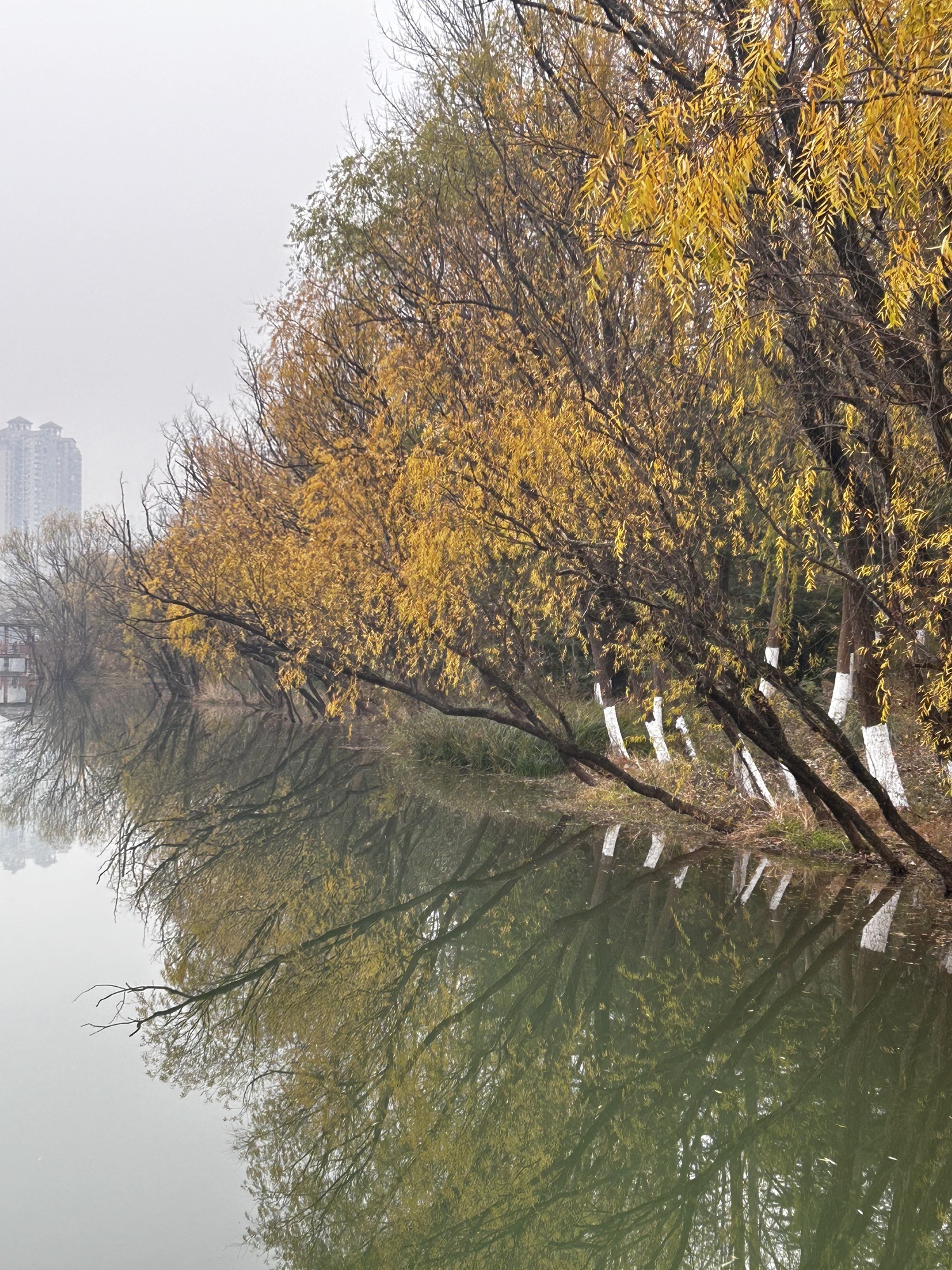 南河湿地公园旅行图片