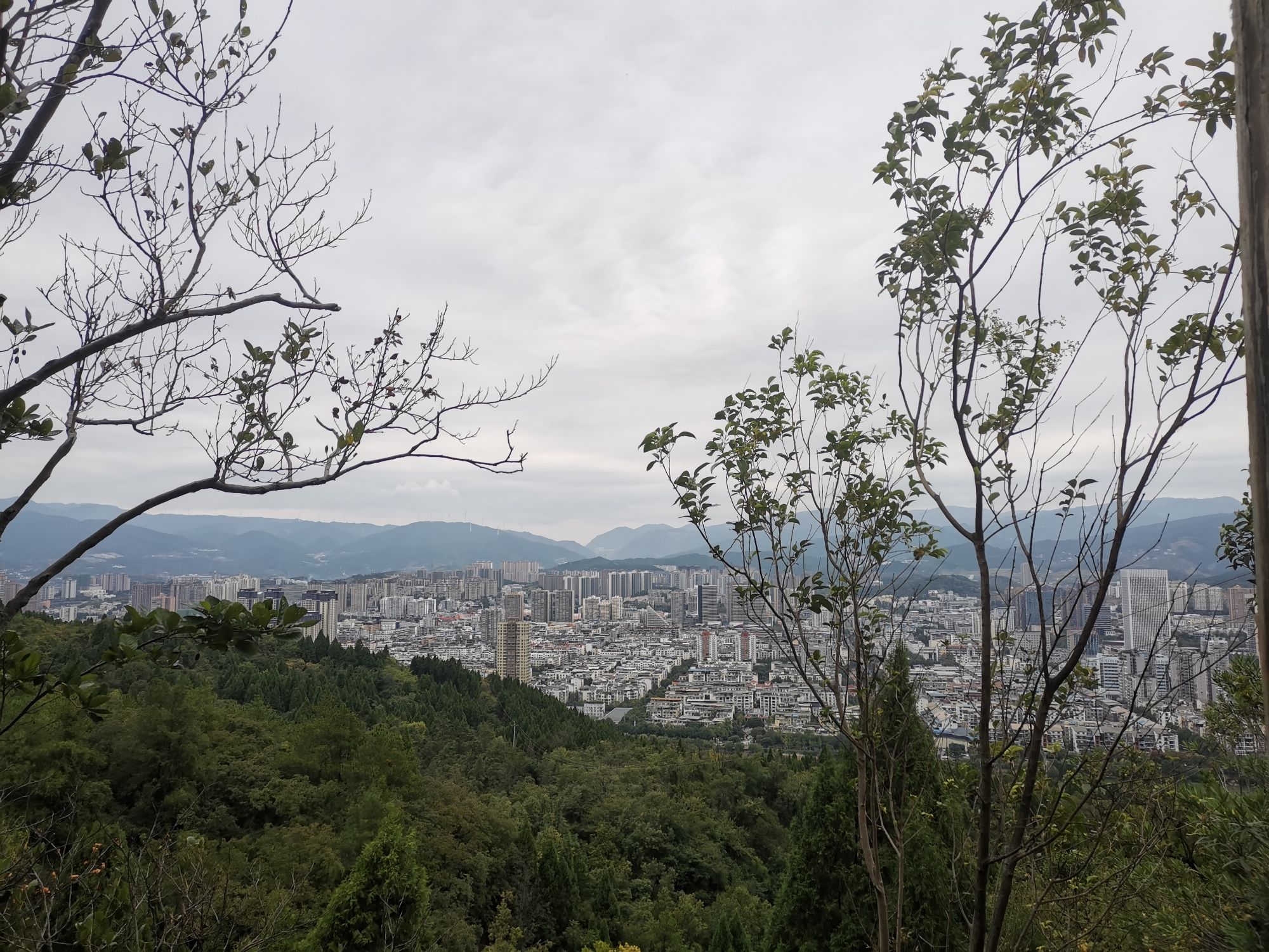 南河湿地公园旅行图片