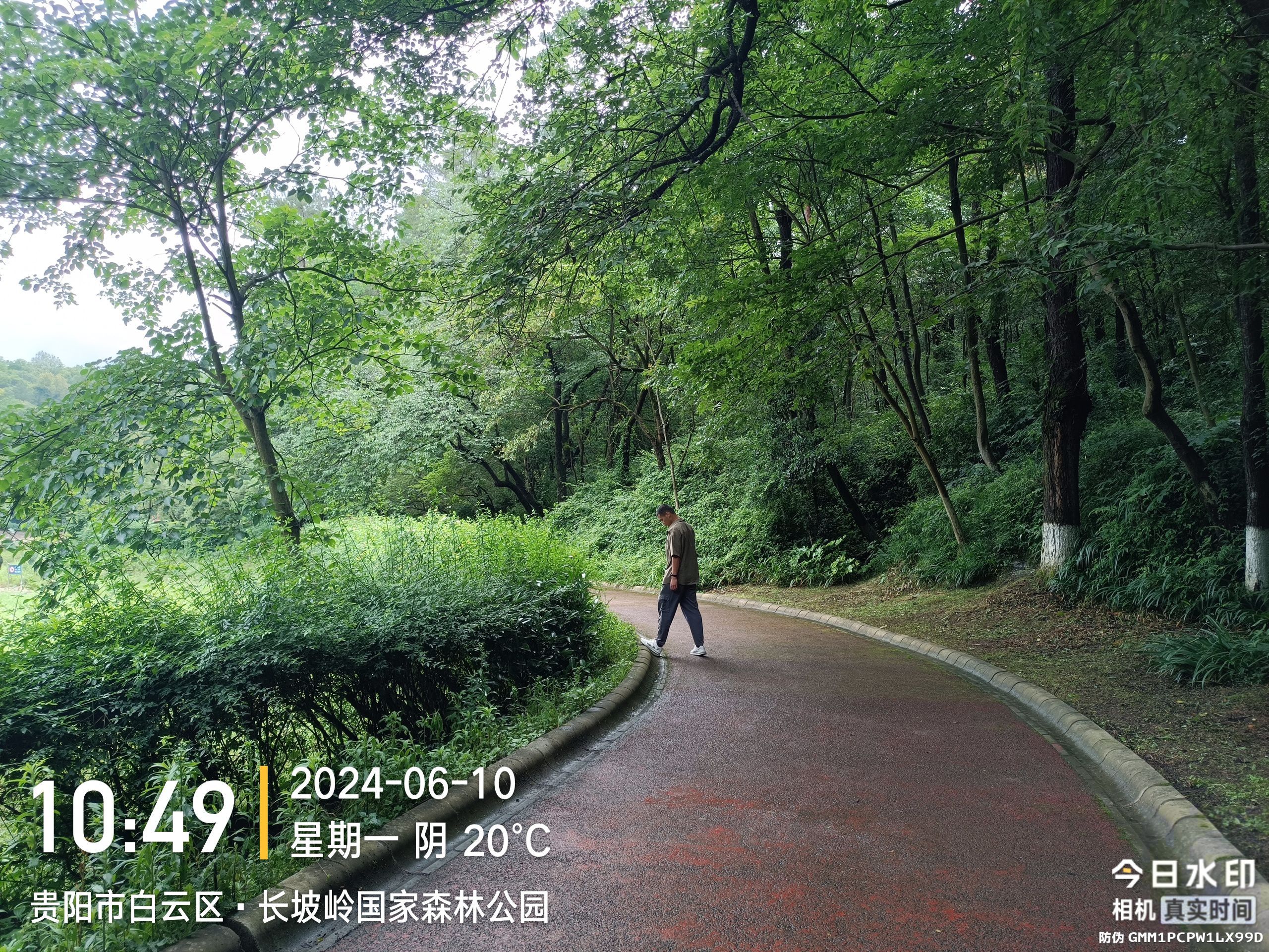 长坡岭国家森林公园