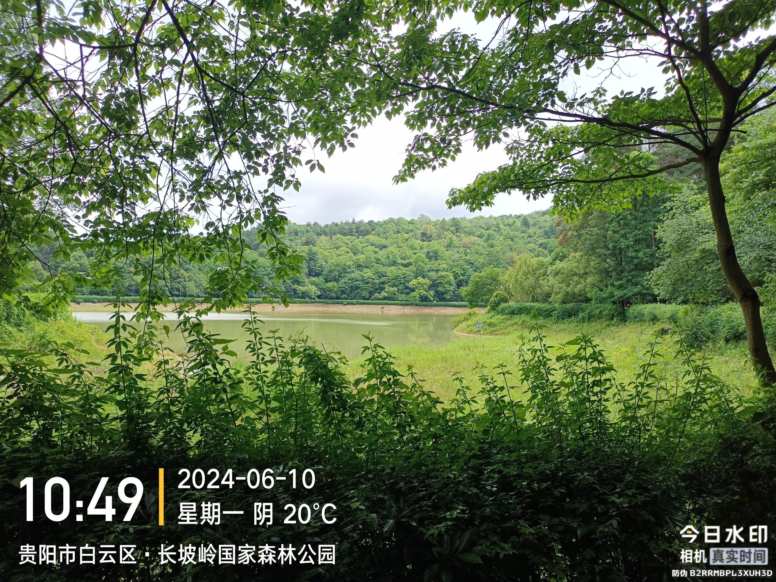 长坡岭国家森林公园旅行图片