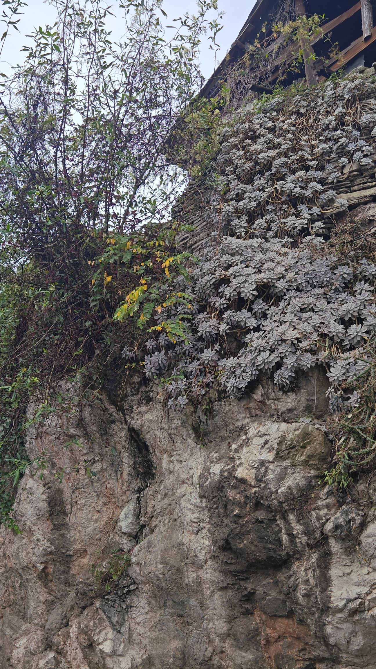 青岩古镇