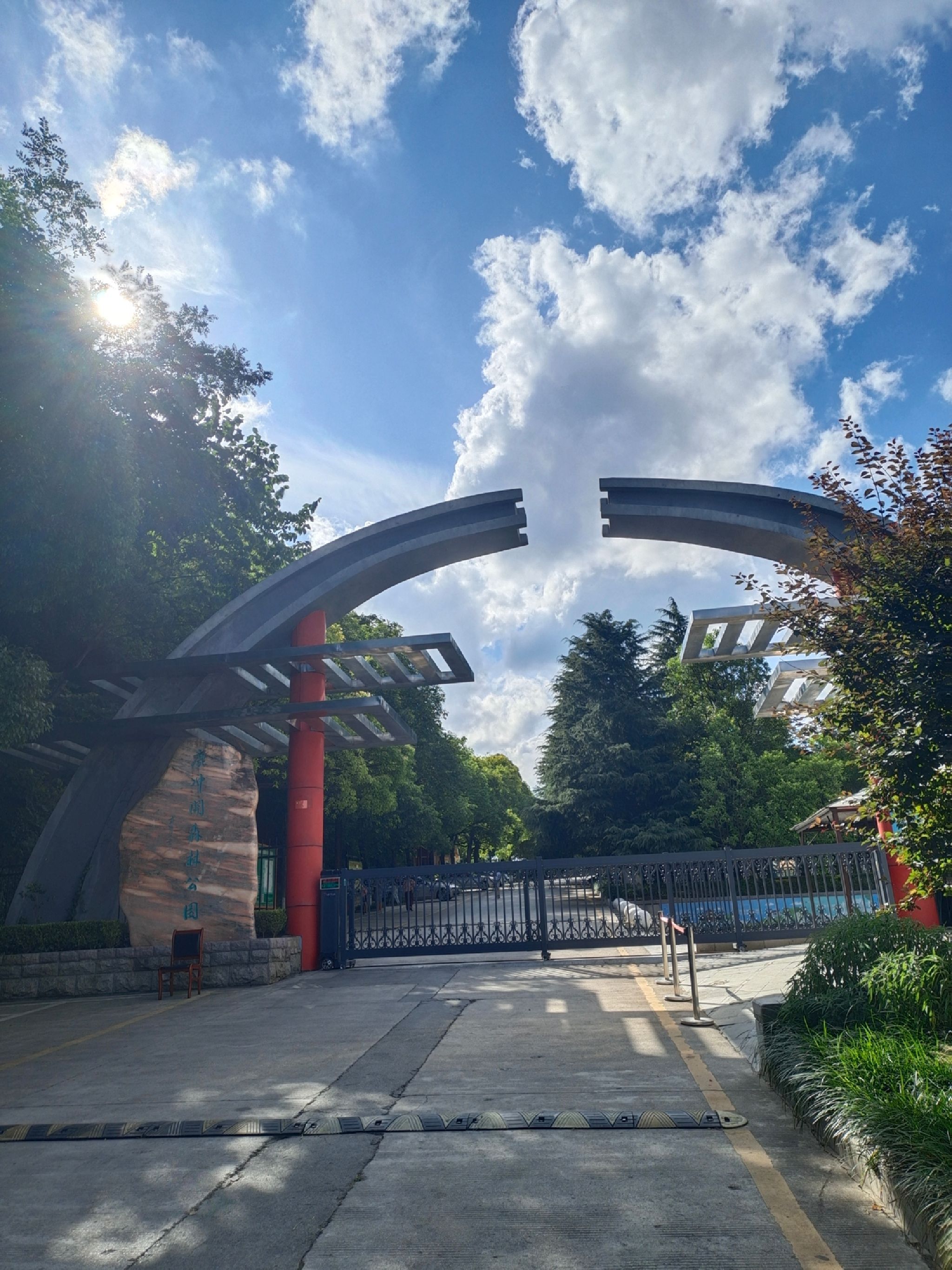 鹿冲关森林公园旅行图片