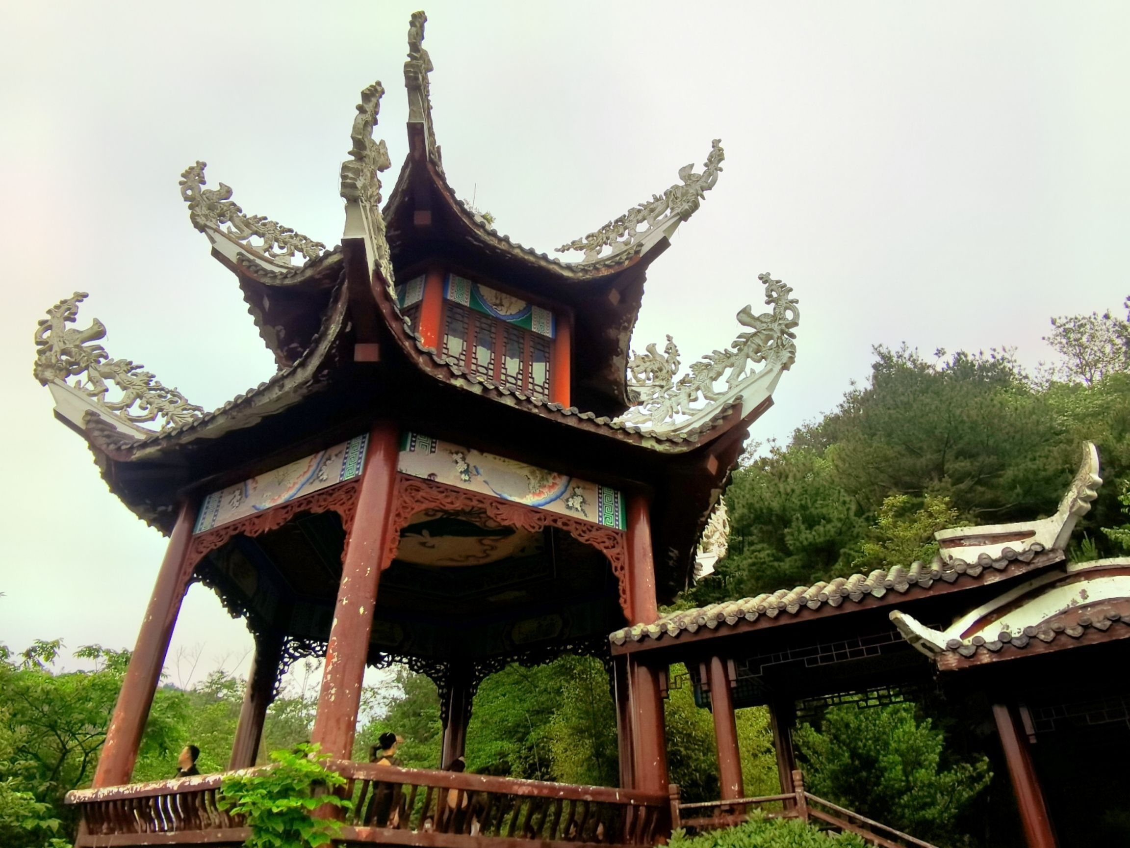 鹿冲关森林公园旅行图片