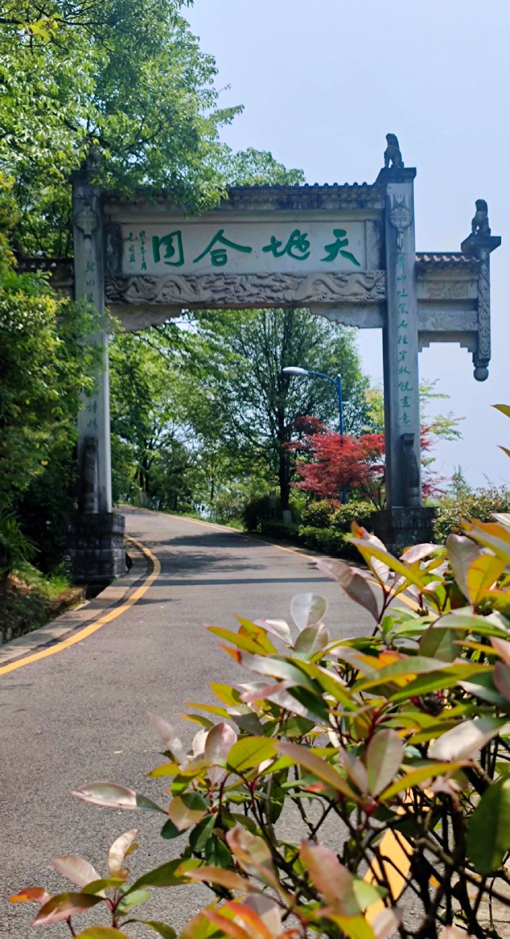 鹿冲关森林公园旅行图片