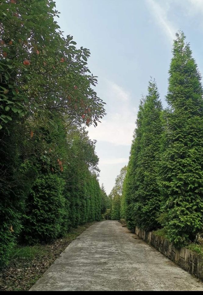 绿之春科普生态植物园