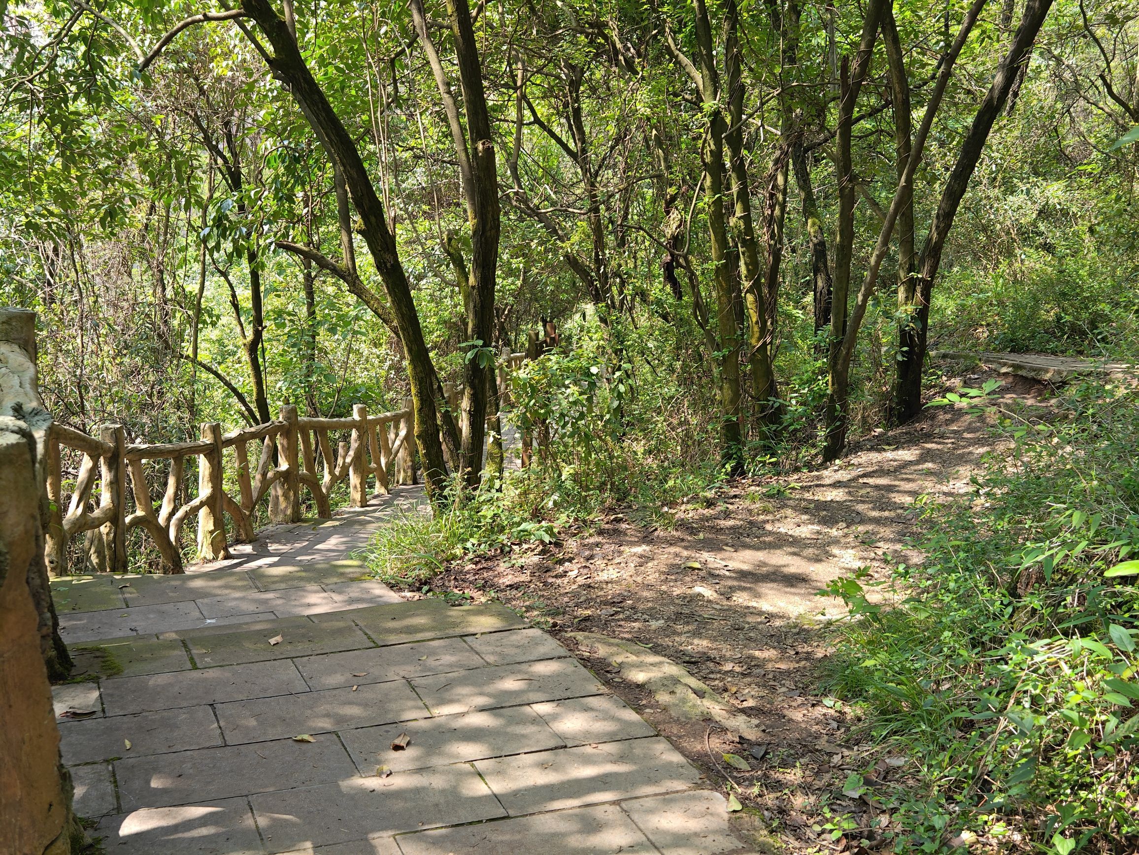 云贵山山头公园旅行图片