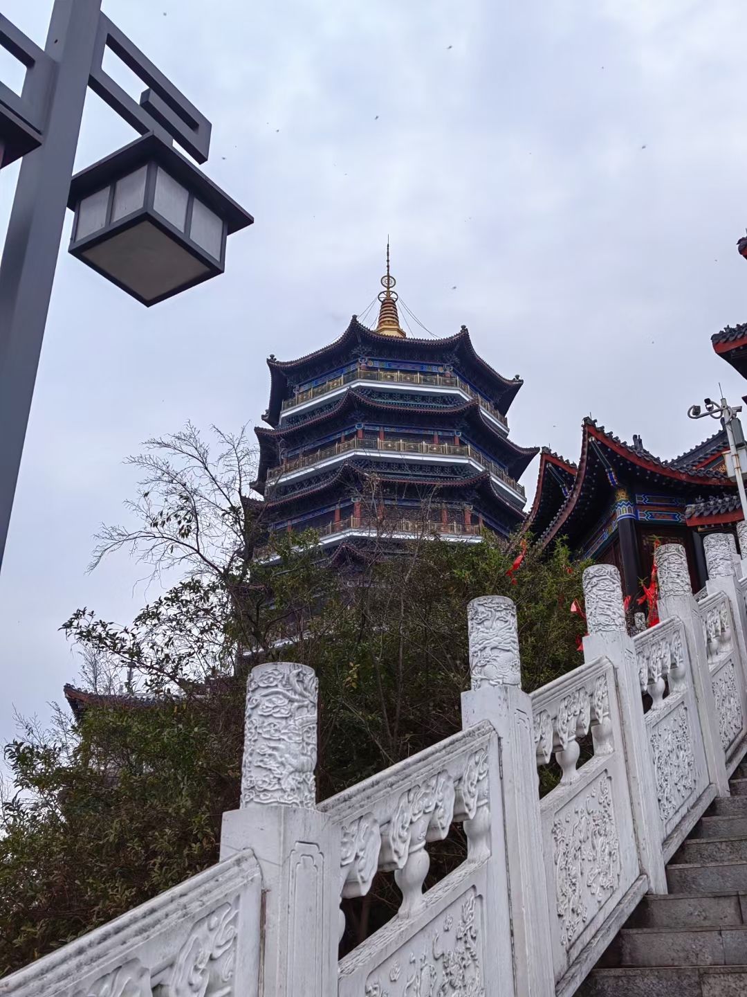 东山公园旅行图片