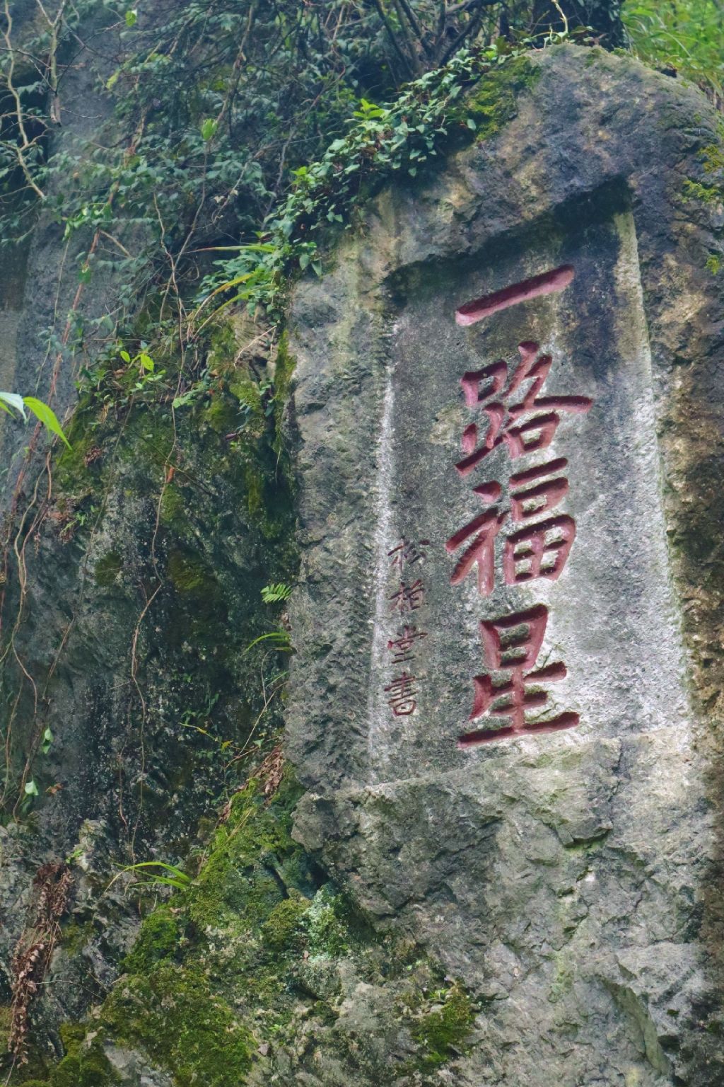 东山公园旅行图片