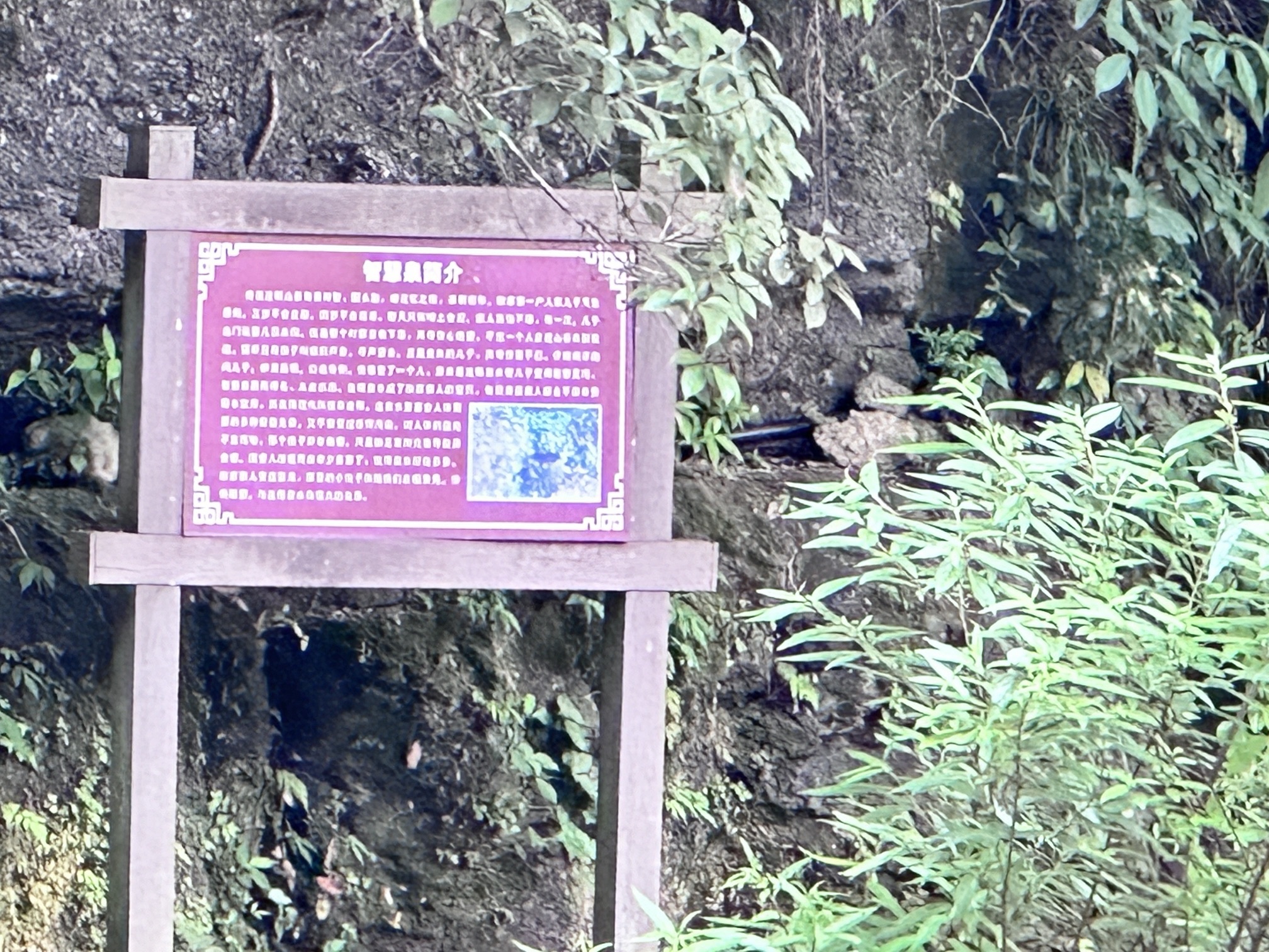 观音岩旅行图片