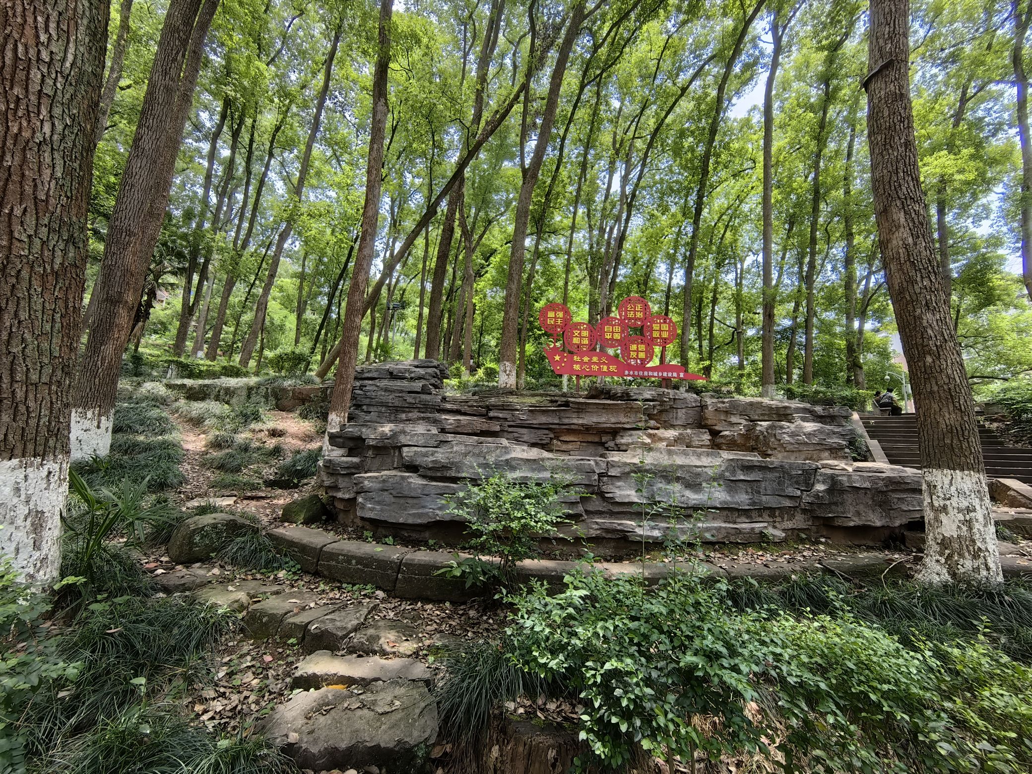 香樟林公园
