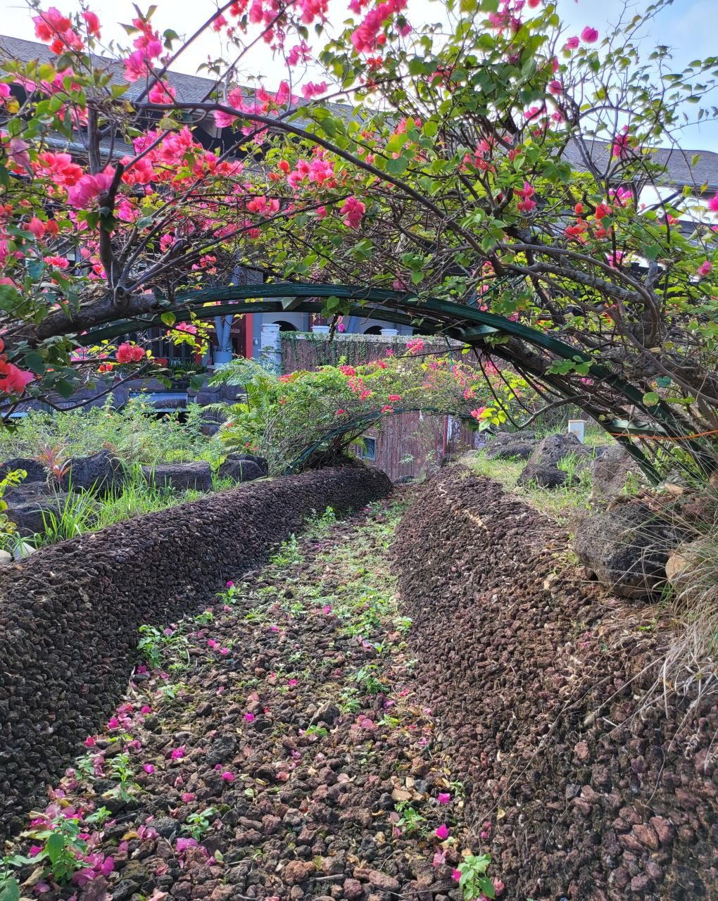 滨海公园
