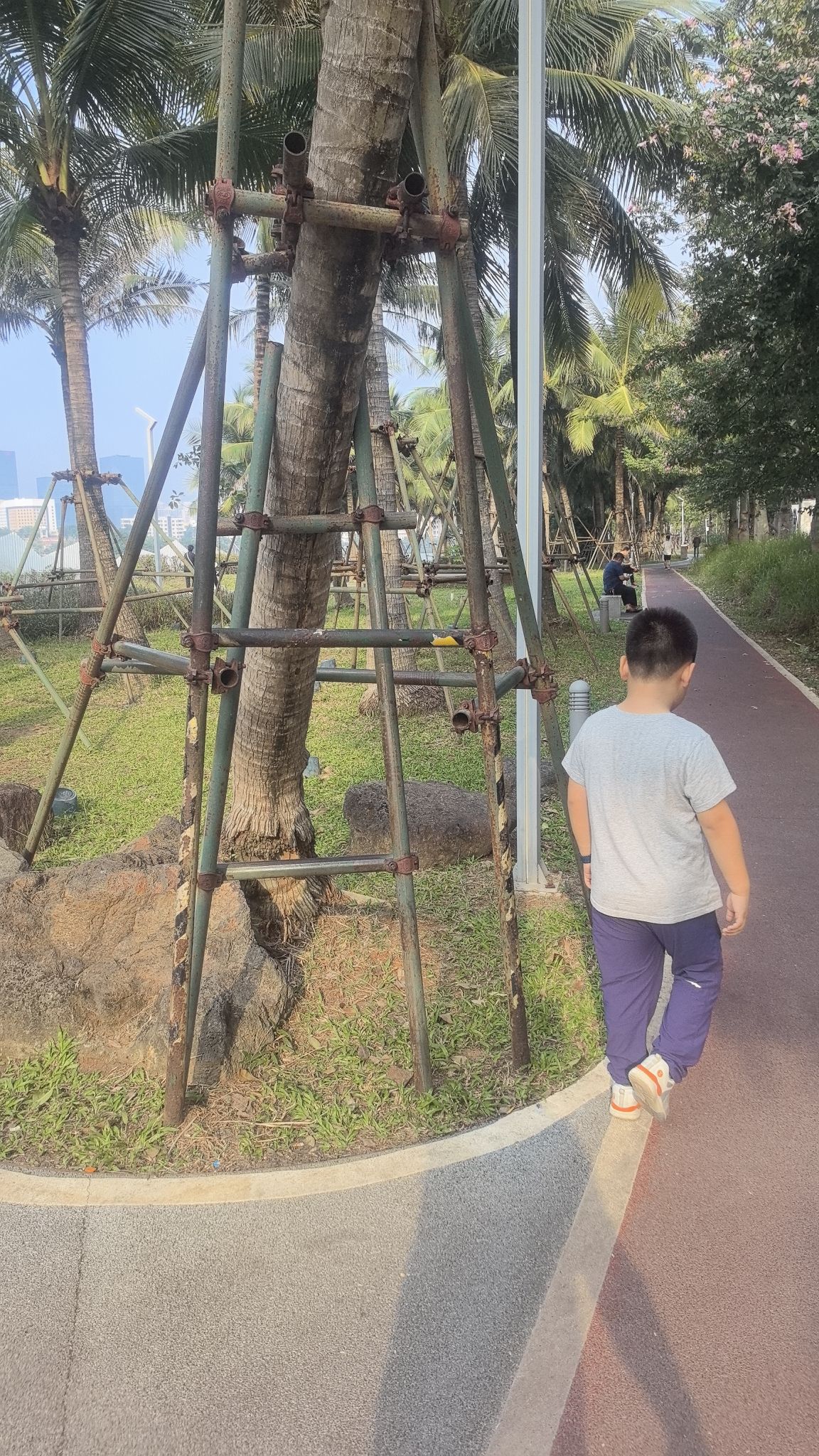 红城湖公园