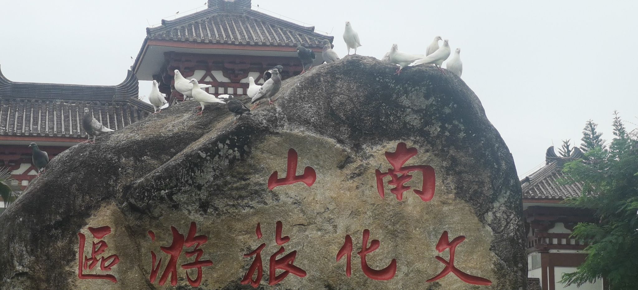 三亚南山文化旅游区旅行图片