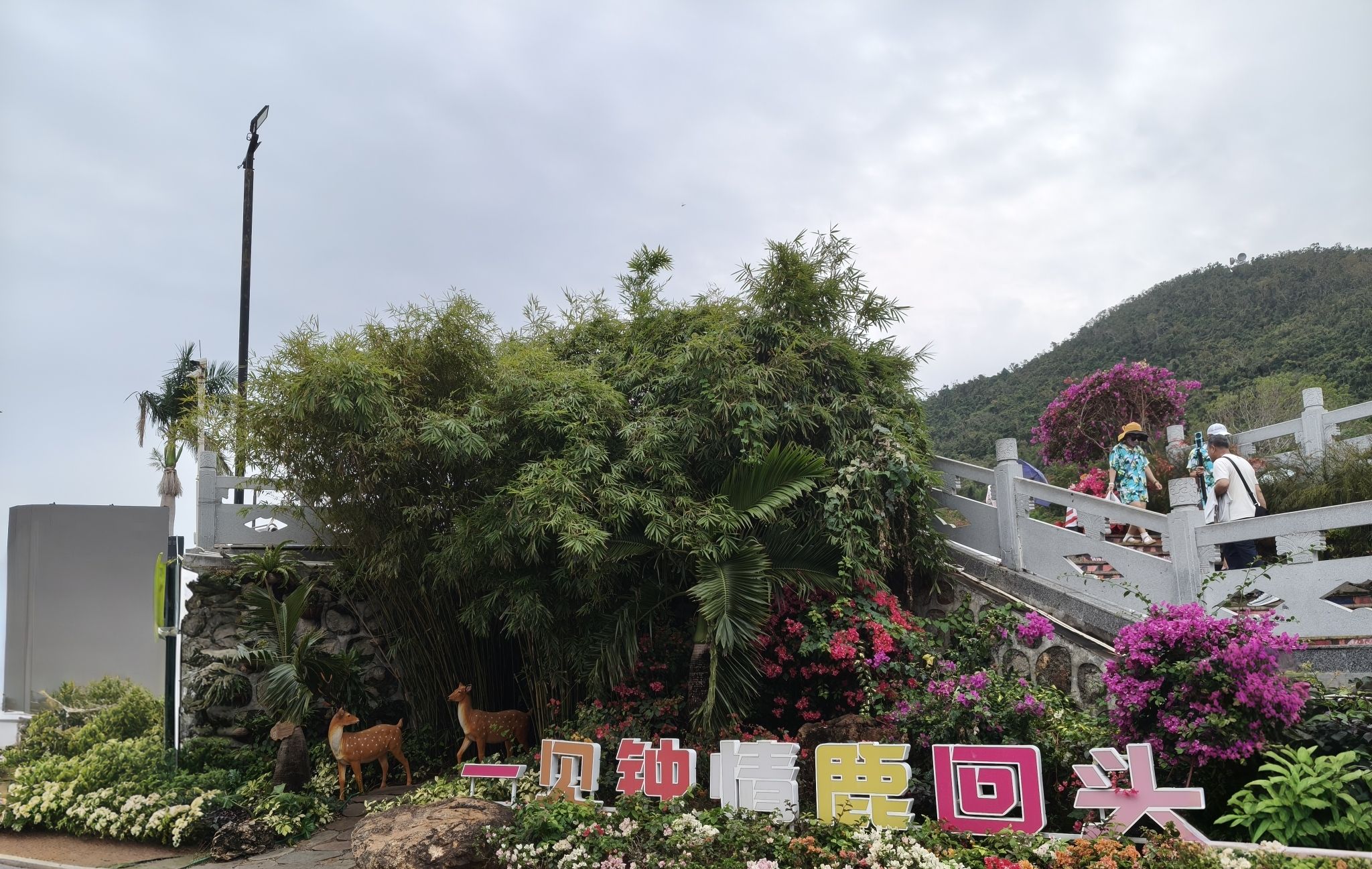 鹿回头风景区
