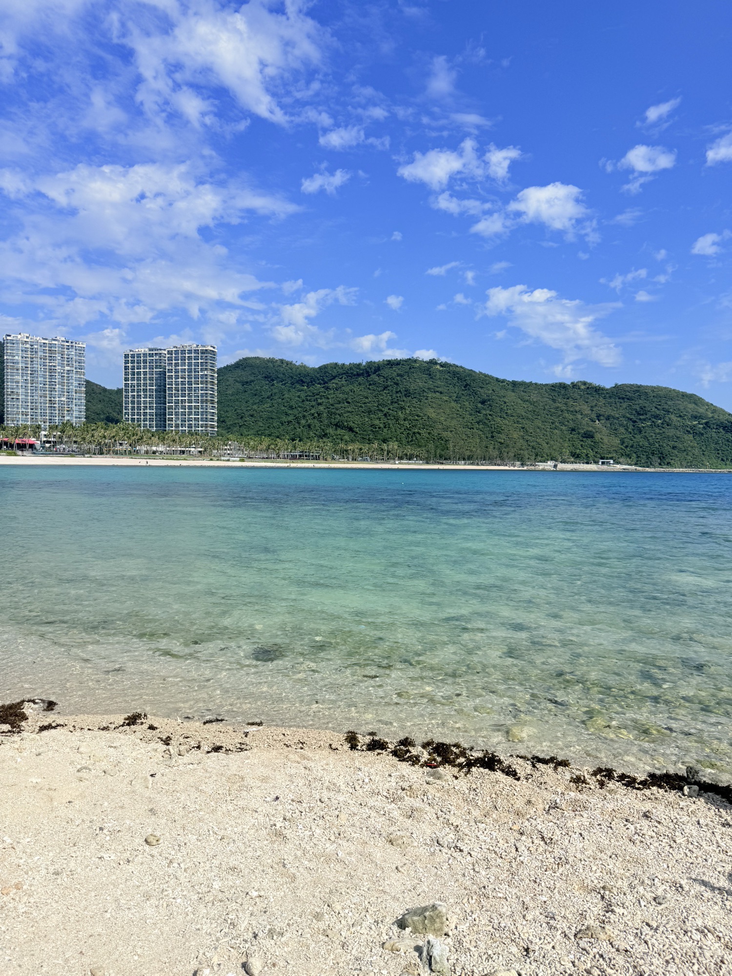 小东海