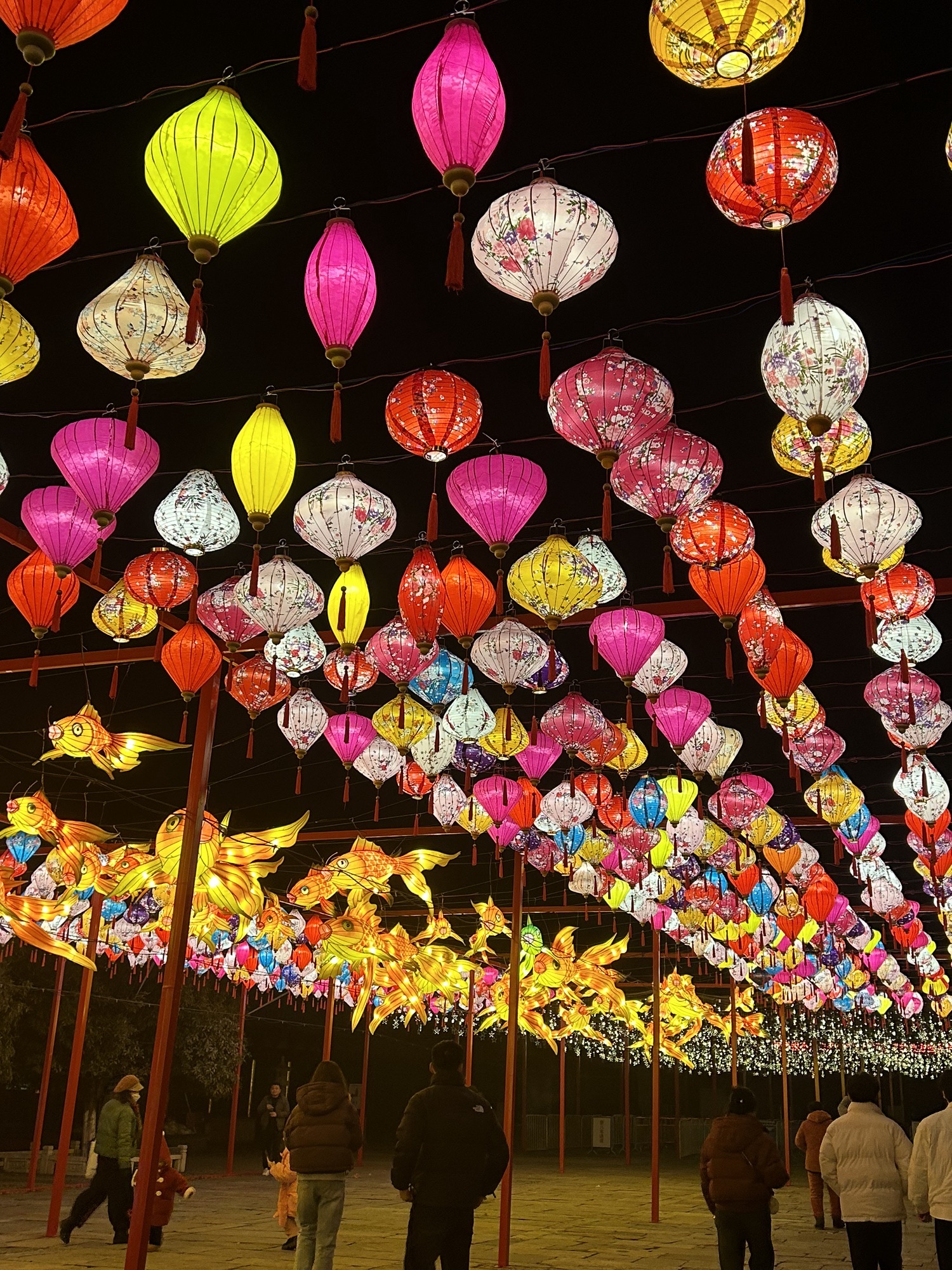 祥源颍淮阜阳生态乐园旅行图片