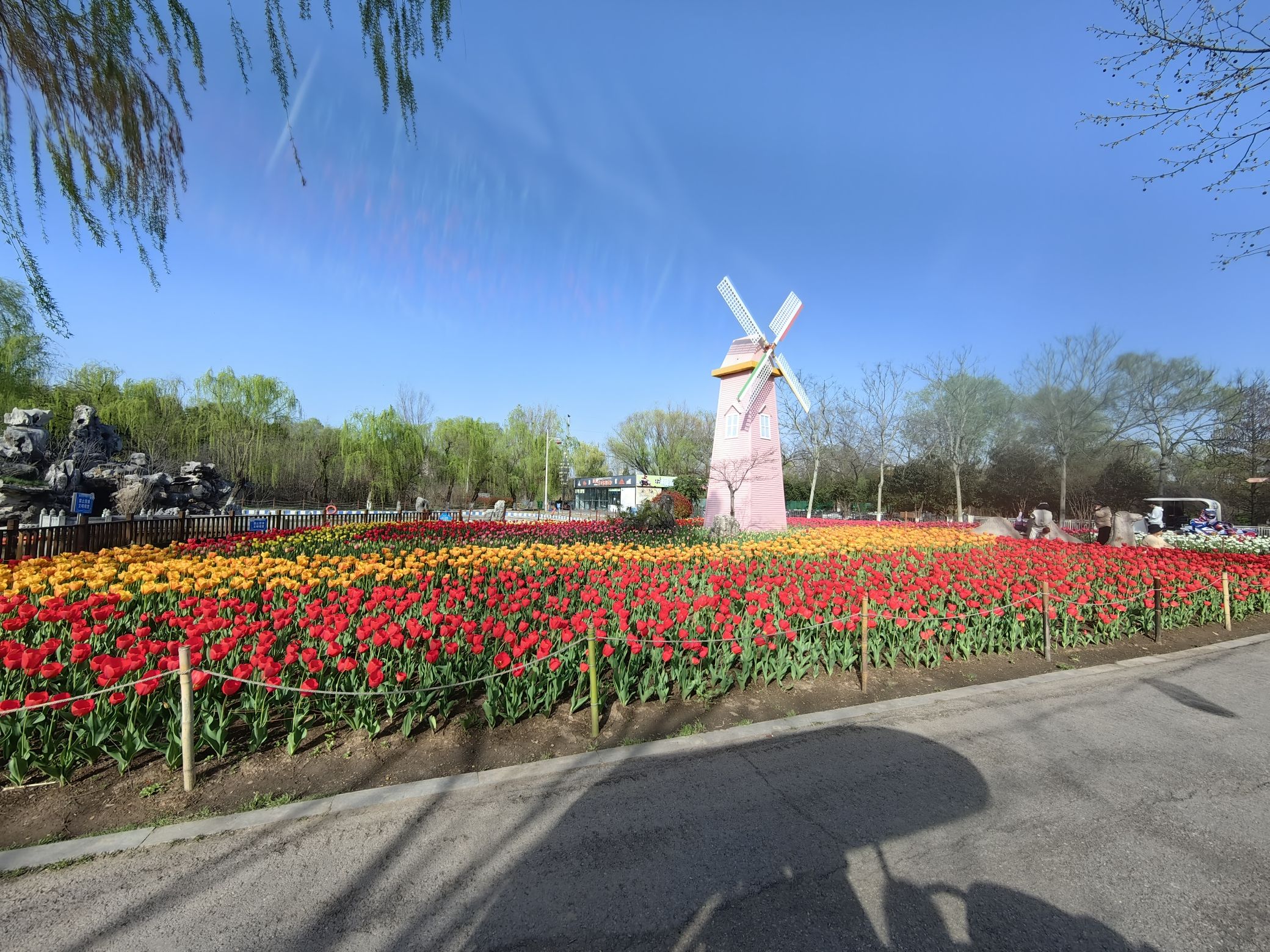 祥源颍淮阜阳生态乐园旅行图片