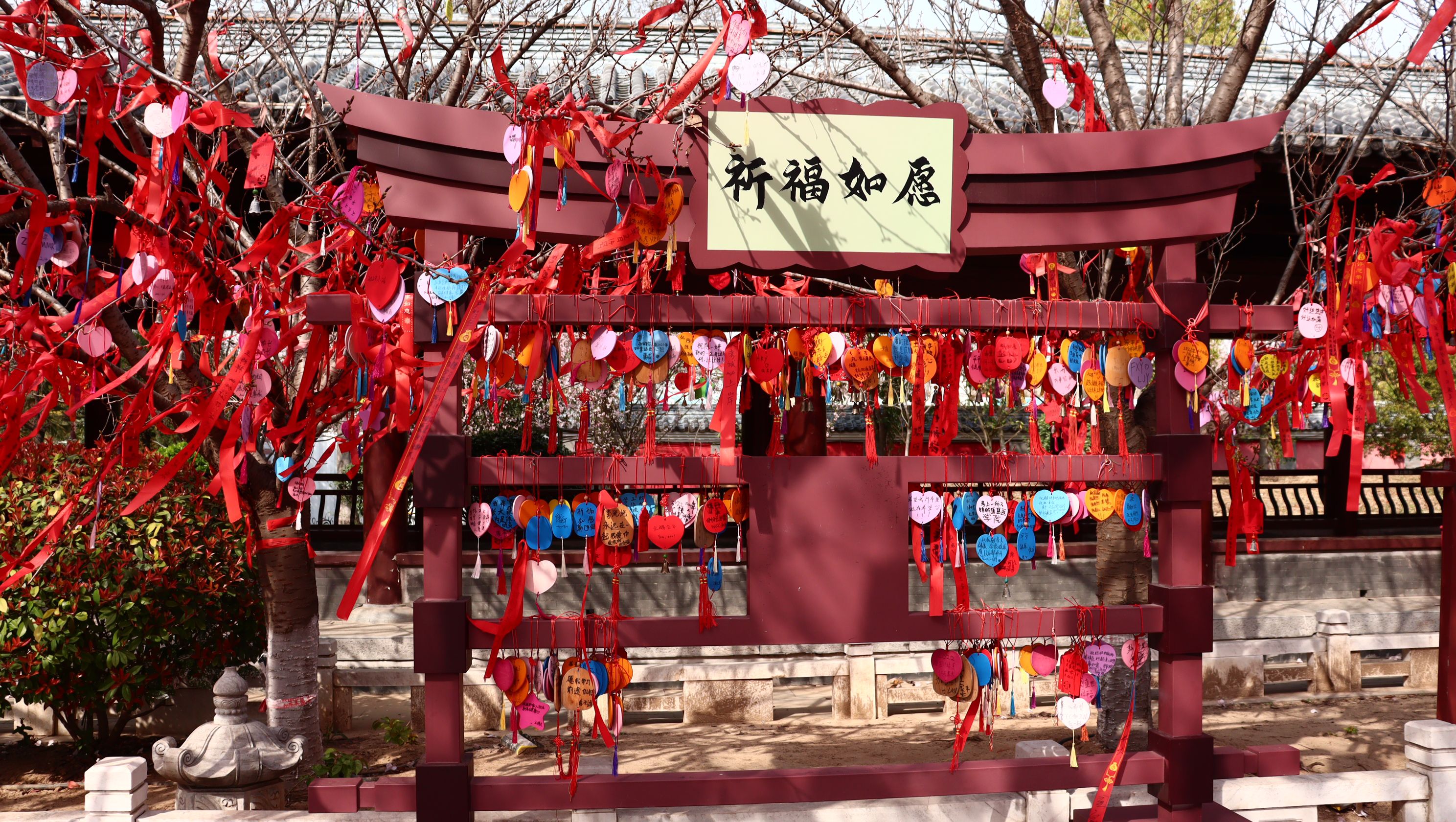 祥源颍淮阜阳生态乐园旅行图片
