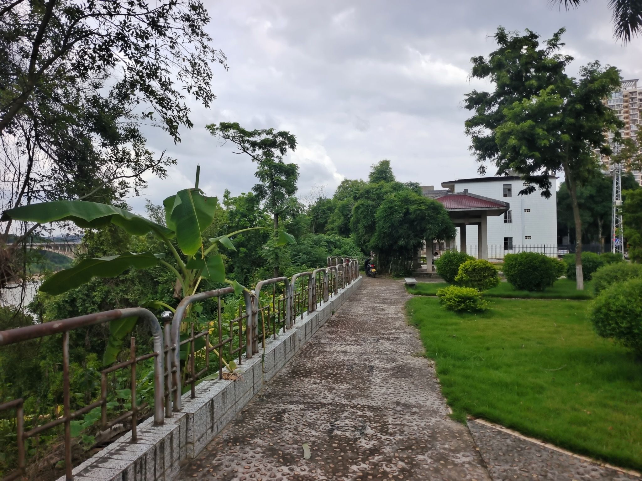 环江东路小游园