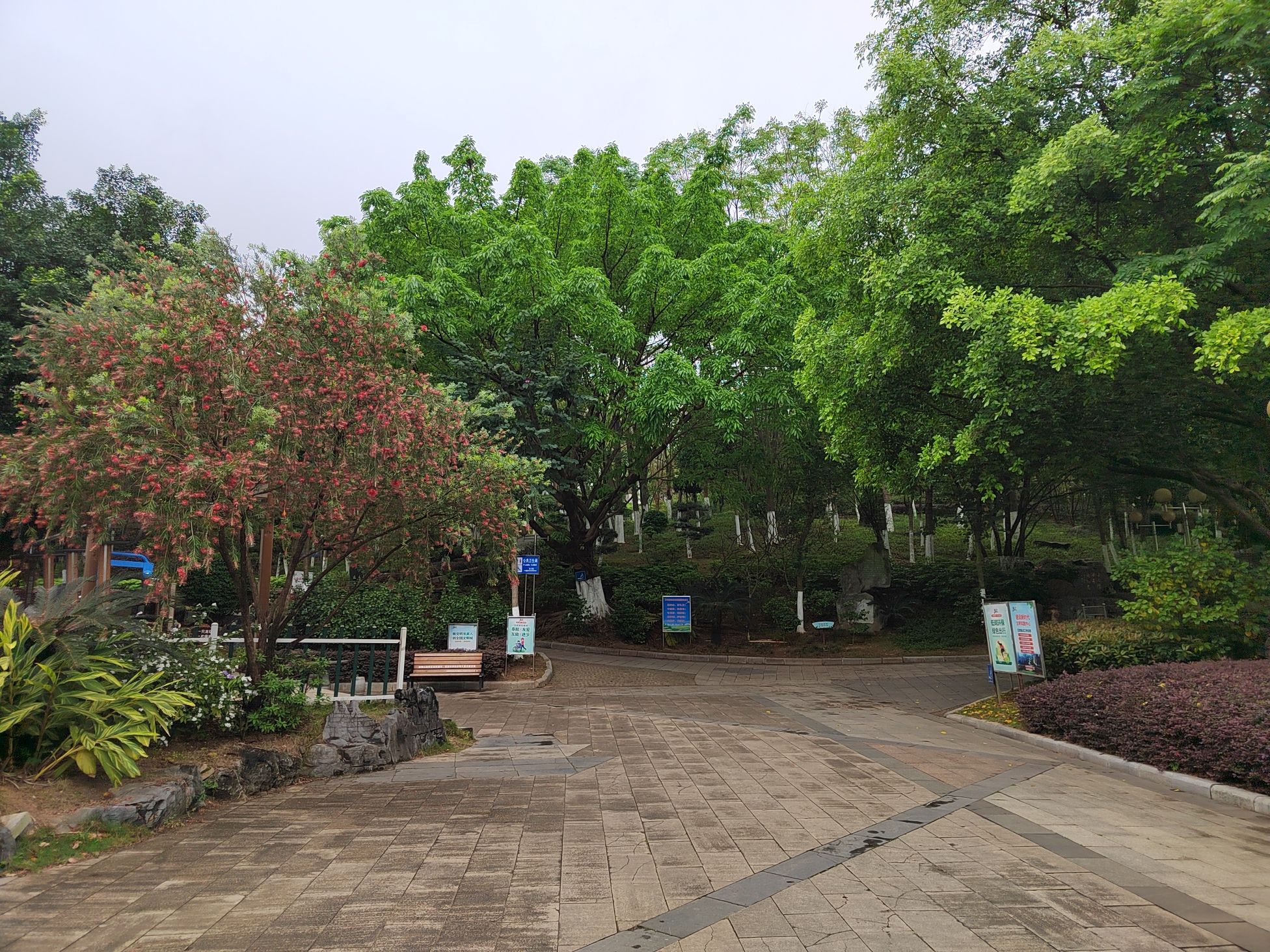 翠屏山公园旅行图片