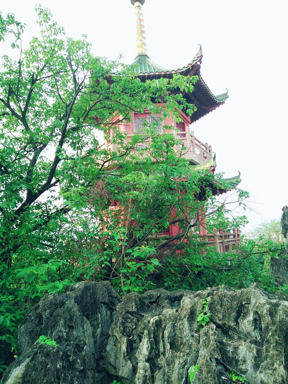 钟山公园旅行图片