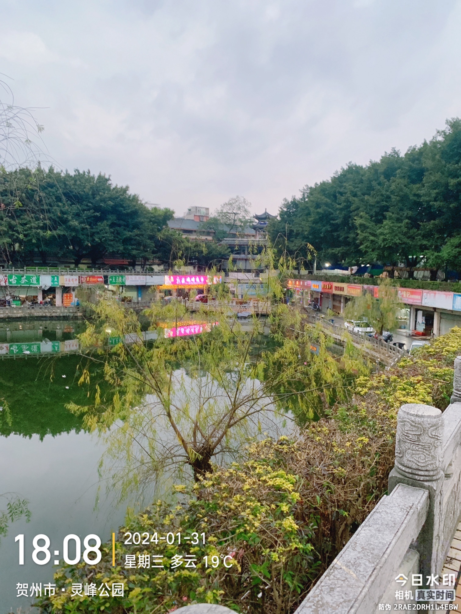 灵峰广场旅行图片