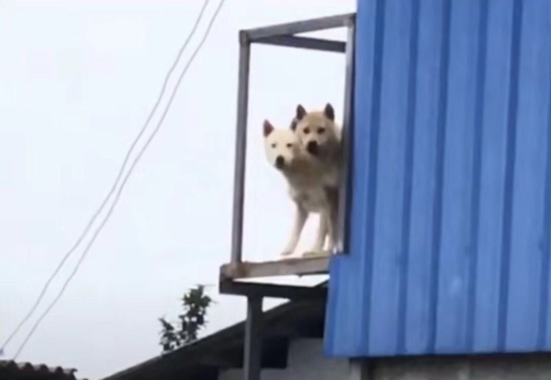 民田景区