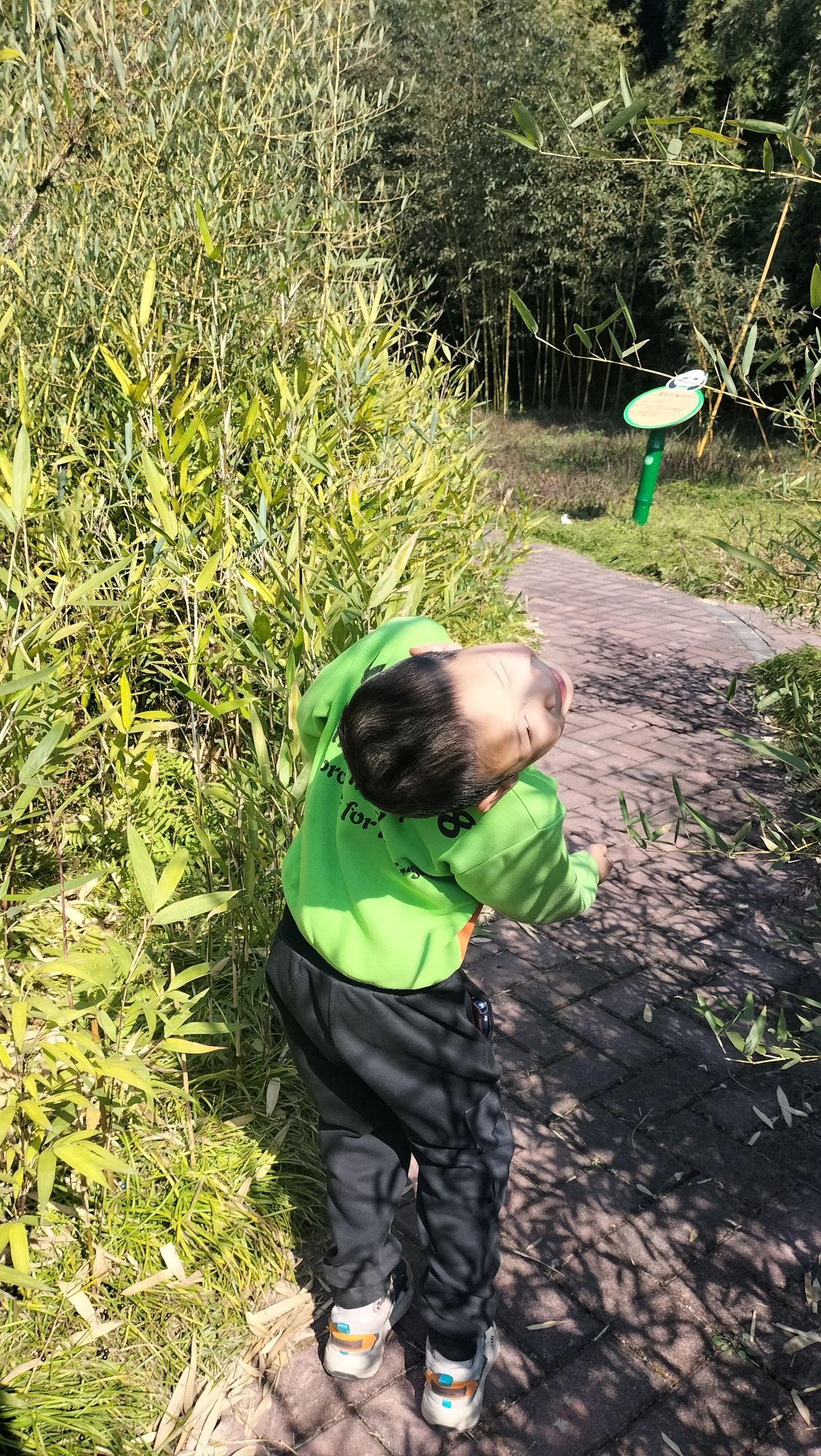 中国竹艺城
