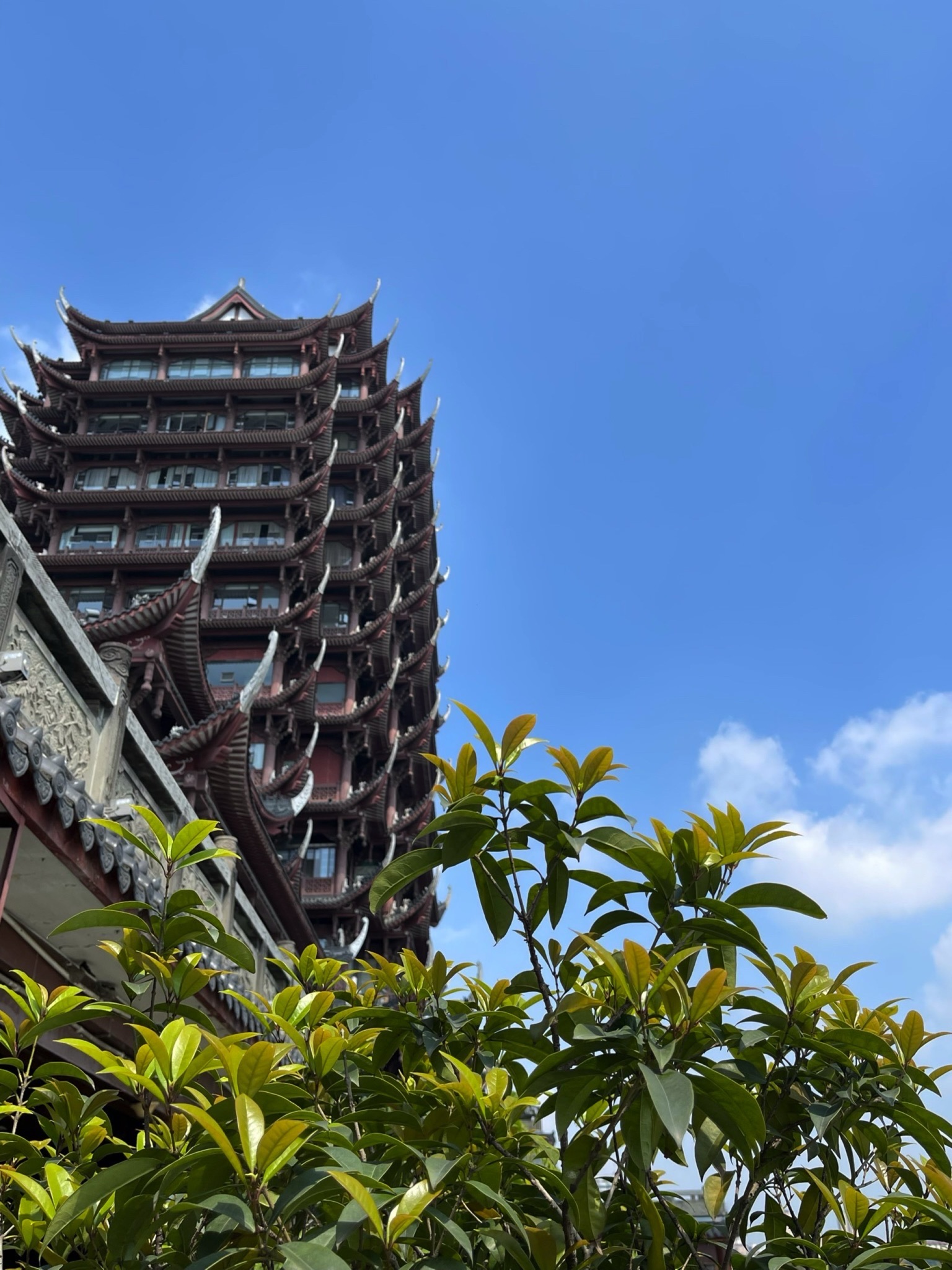 远景楼旅行图片