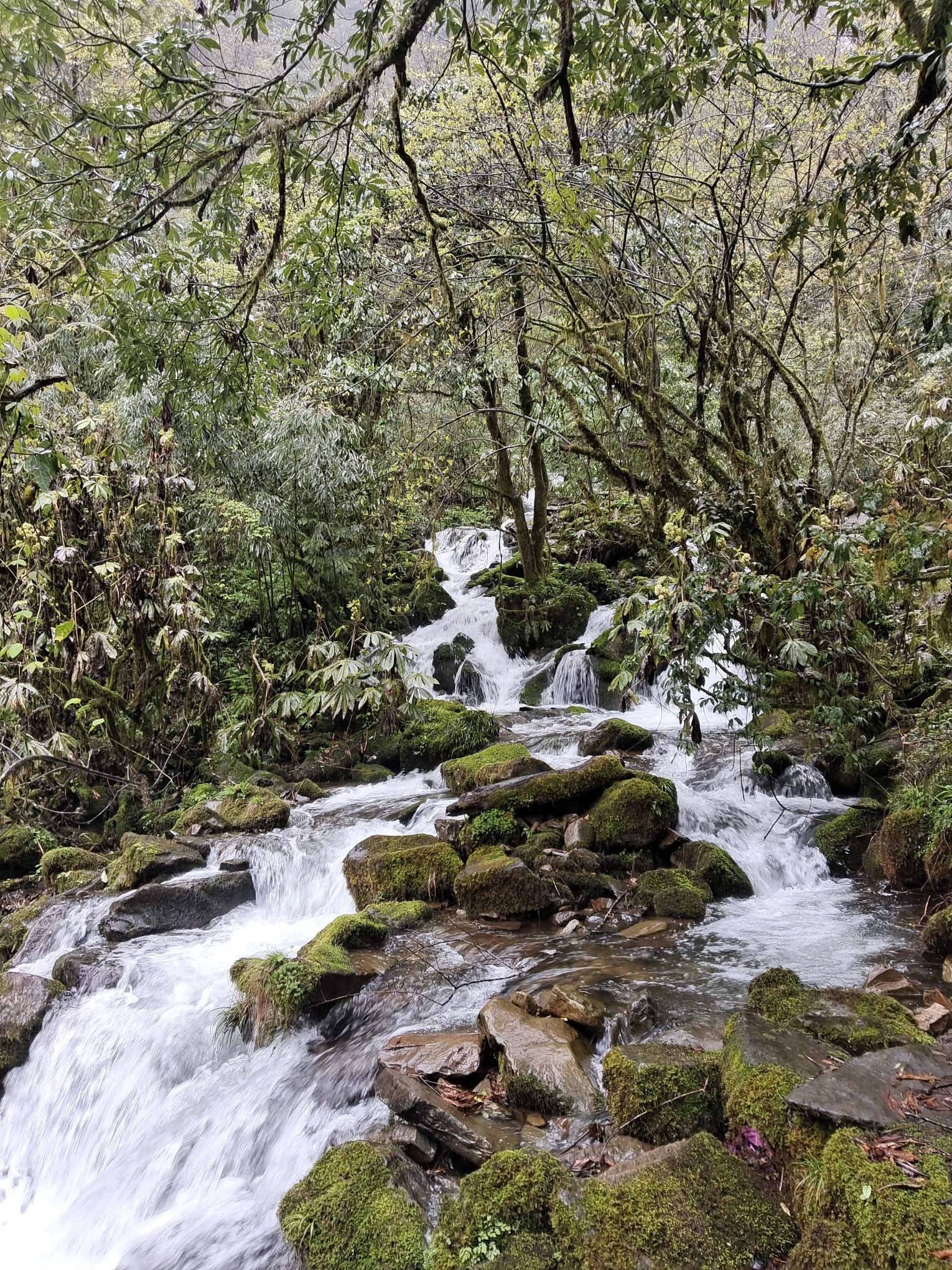 瓦屋山风景区