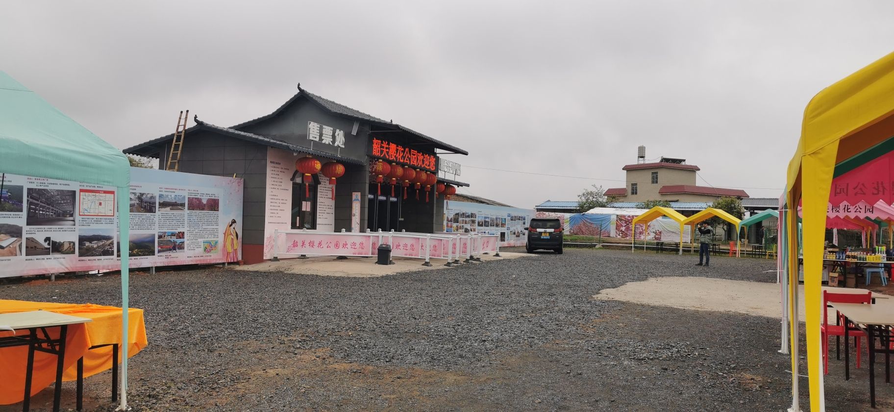 韶关樱花公园旅行图片