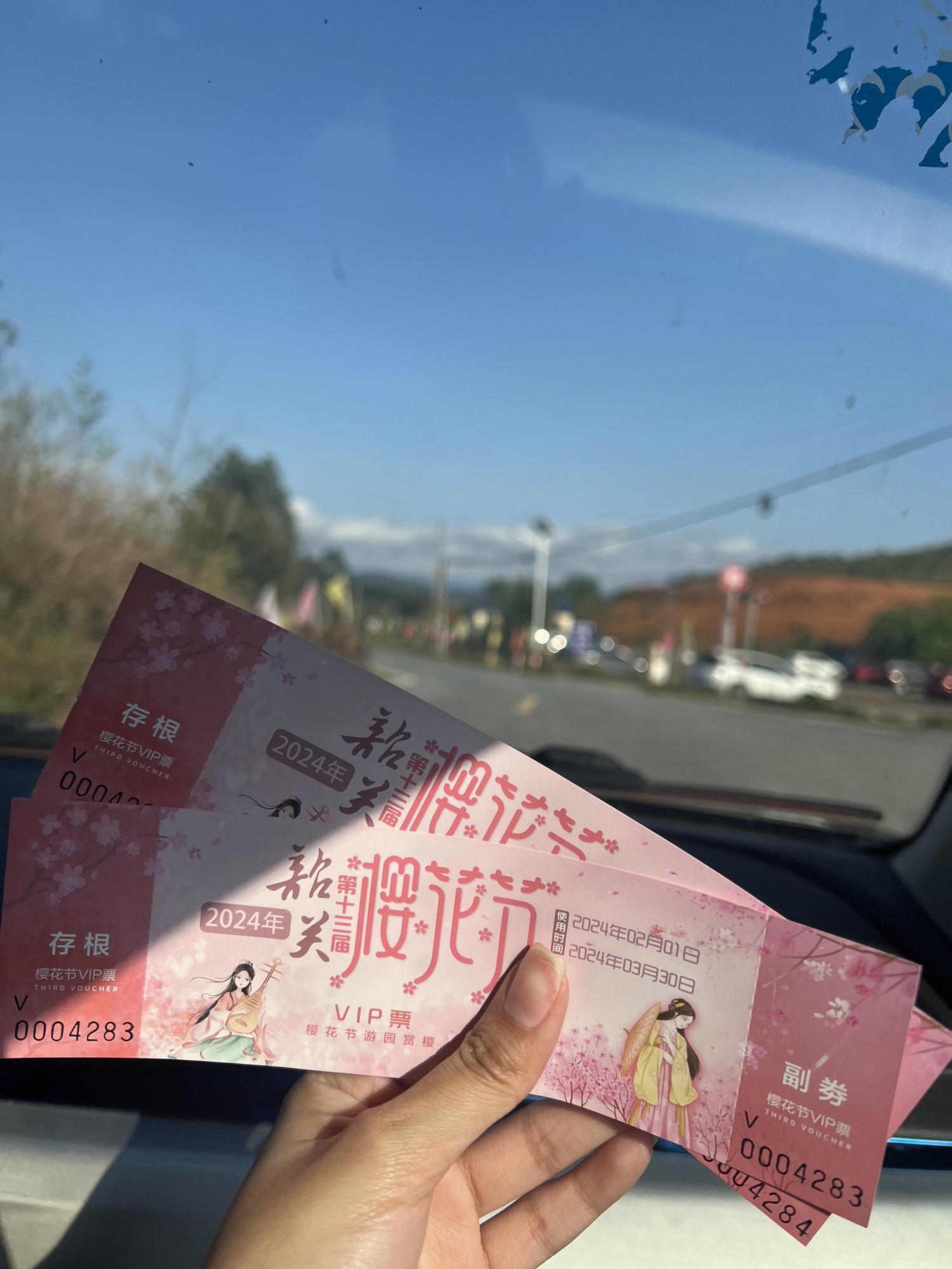 韶关樱花公园旅行图片