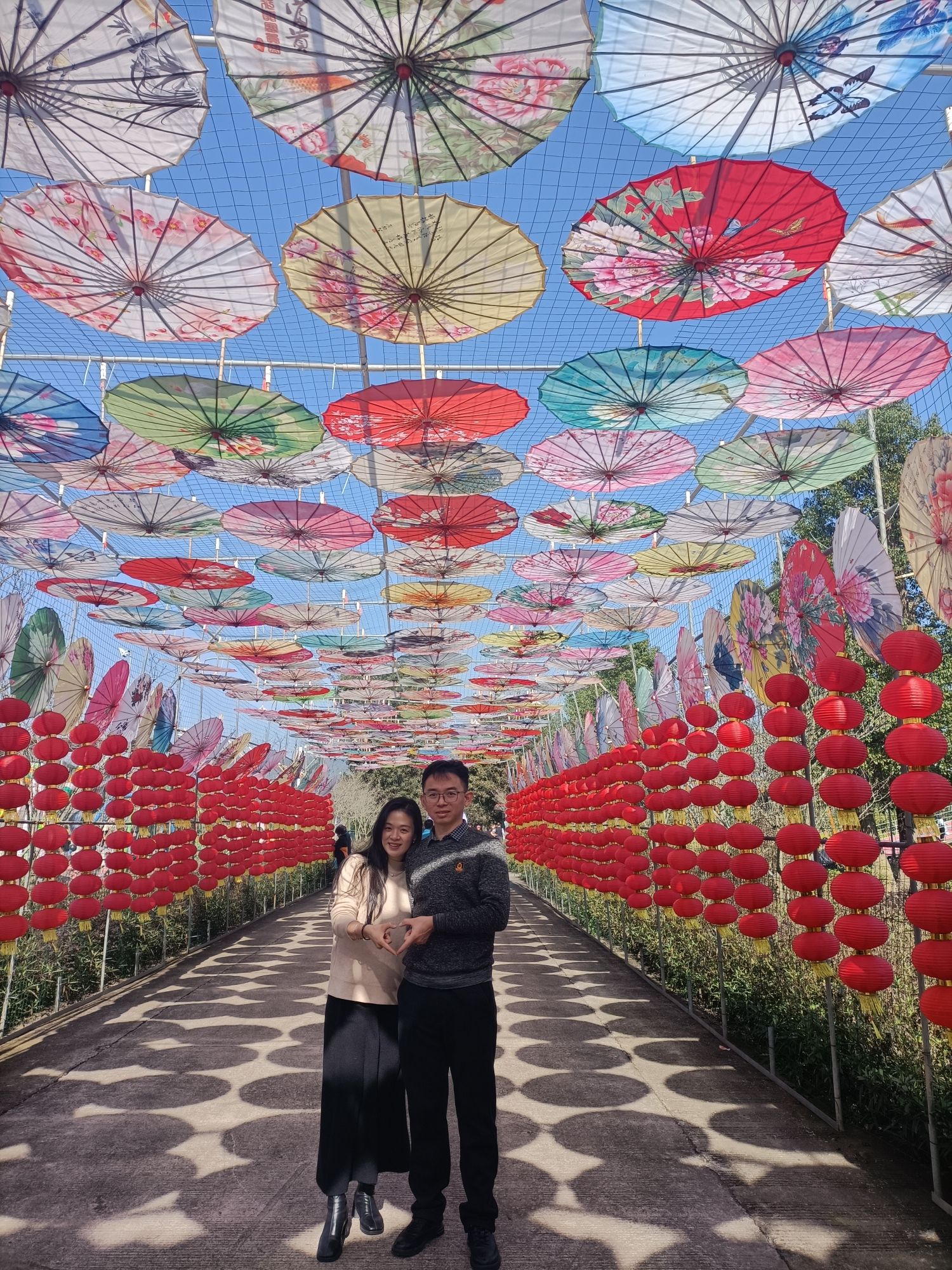 韶关樱花公园旅行图片