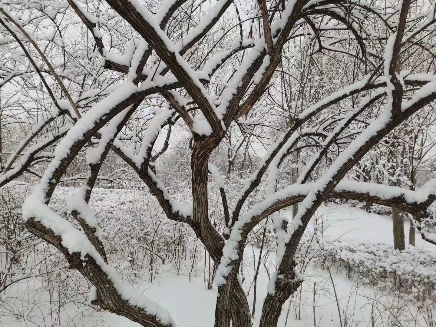 齐物潭