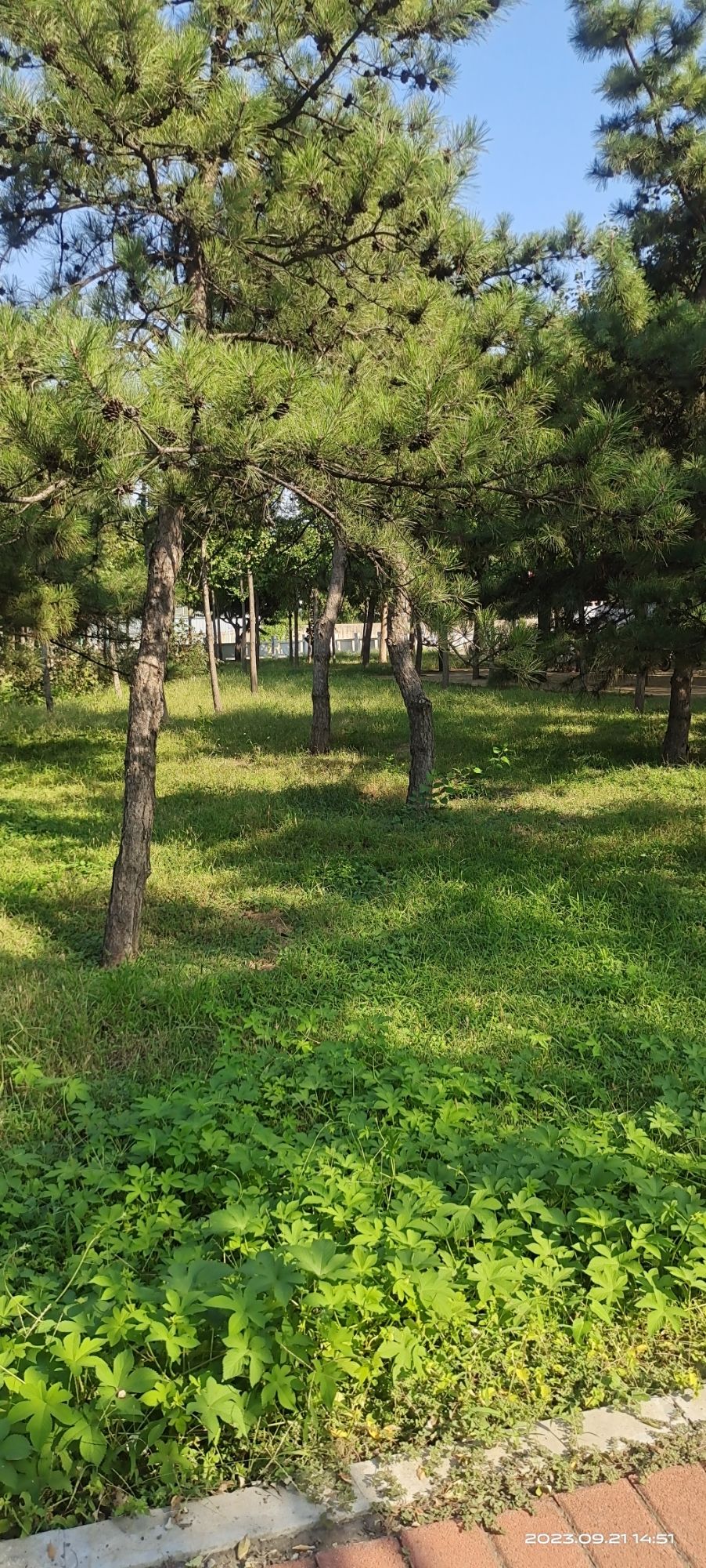 刘火新庄乡村和谐园