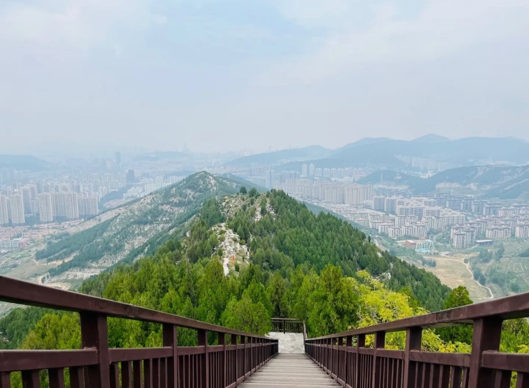 领秀城森林公园旅行图片