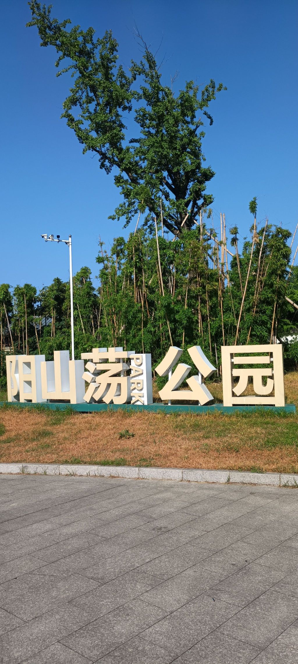 阳山荡公园旅行图片
