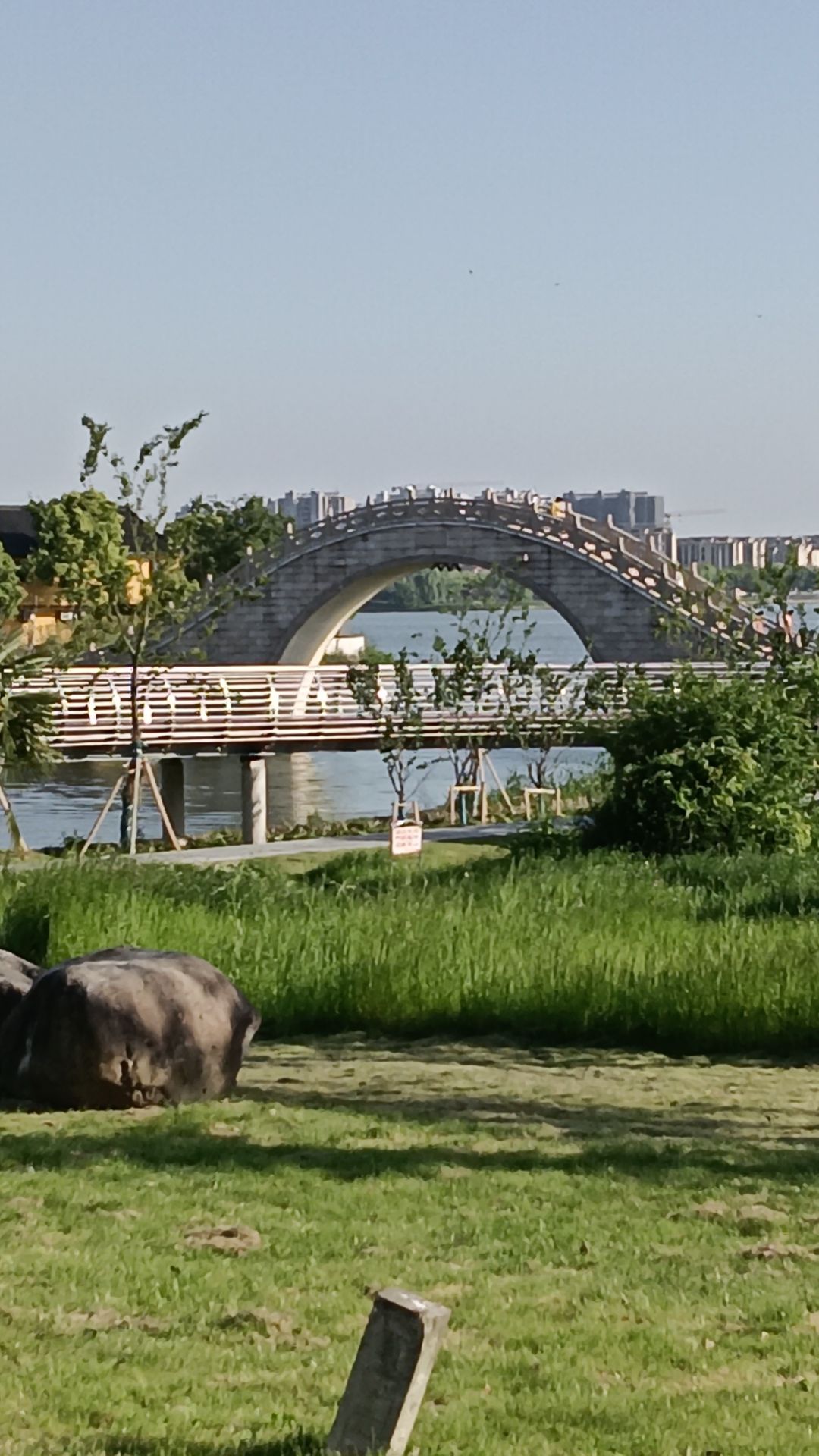 阳山荡公园旅行图片