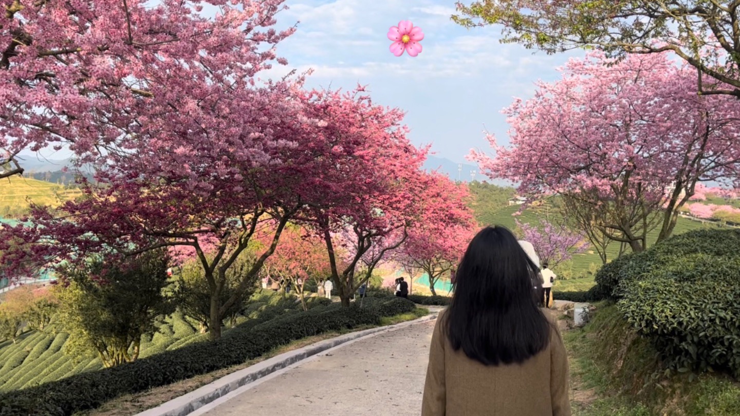永福台缘山庄樱花园(百福园)