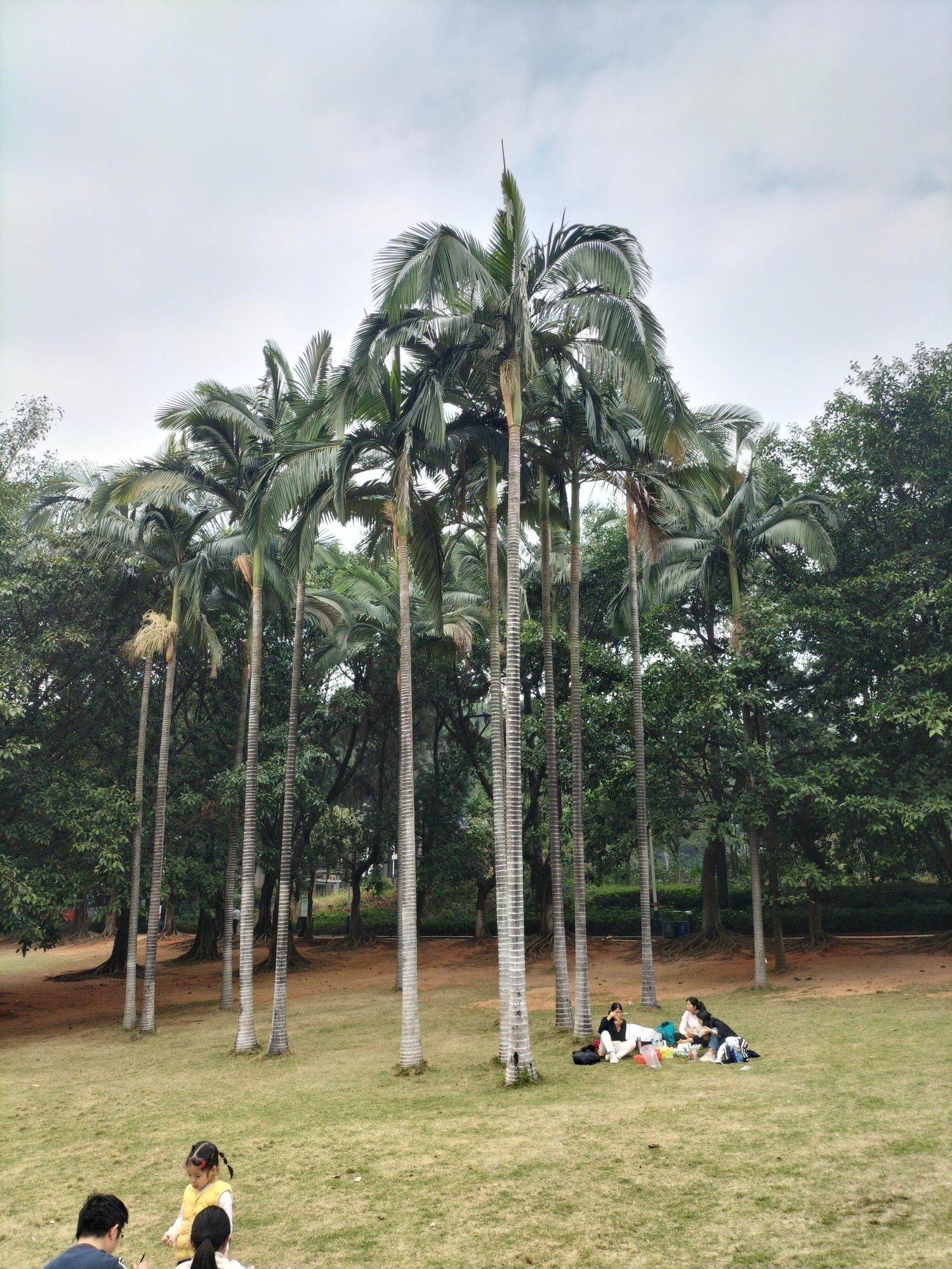 佛山植物园旅行图片