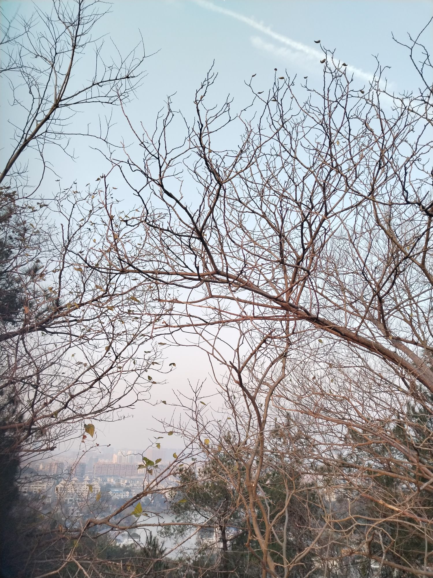 翠屏山旅行图片