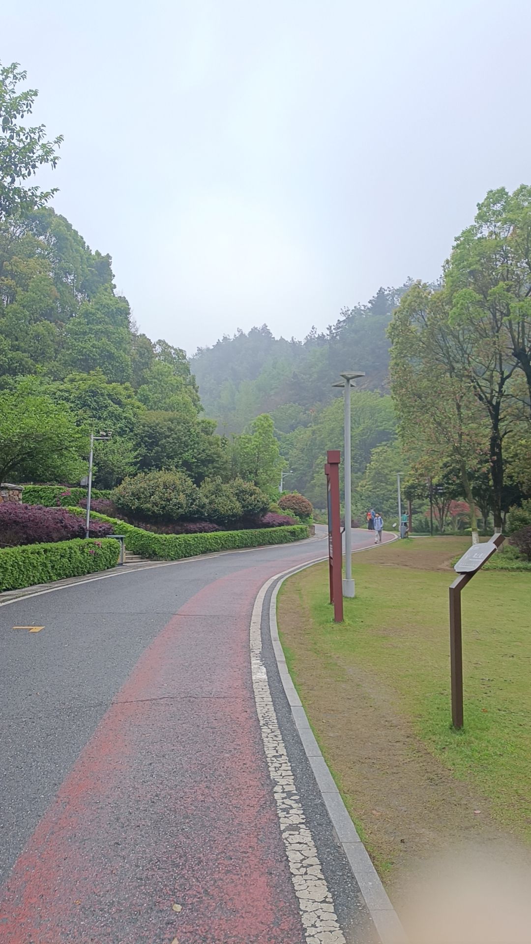 桃花岭景区旅行图片