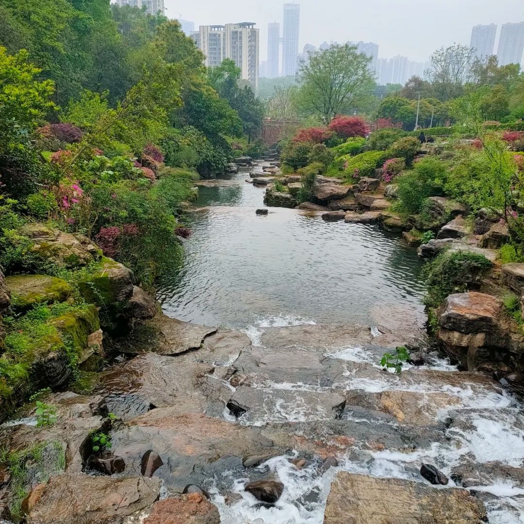 桃花岭景区旅行图片