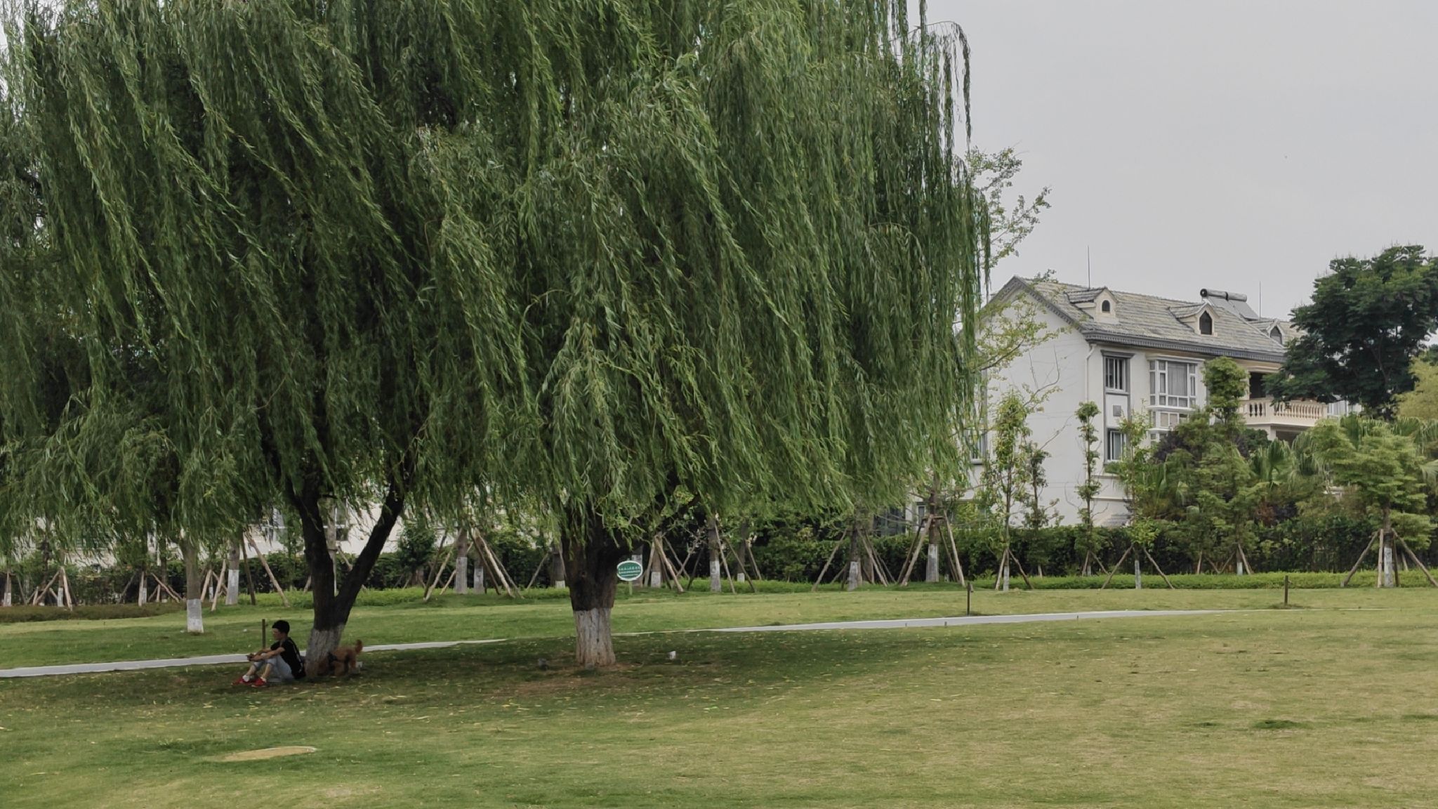 园艺山人工湖公园旅行图片